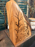 In a Hole in the Ground... on Ash