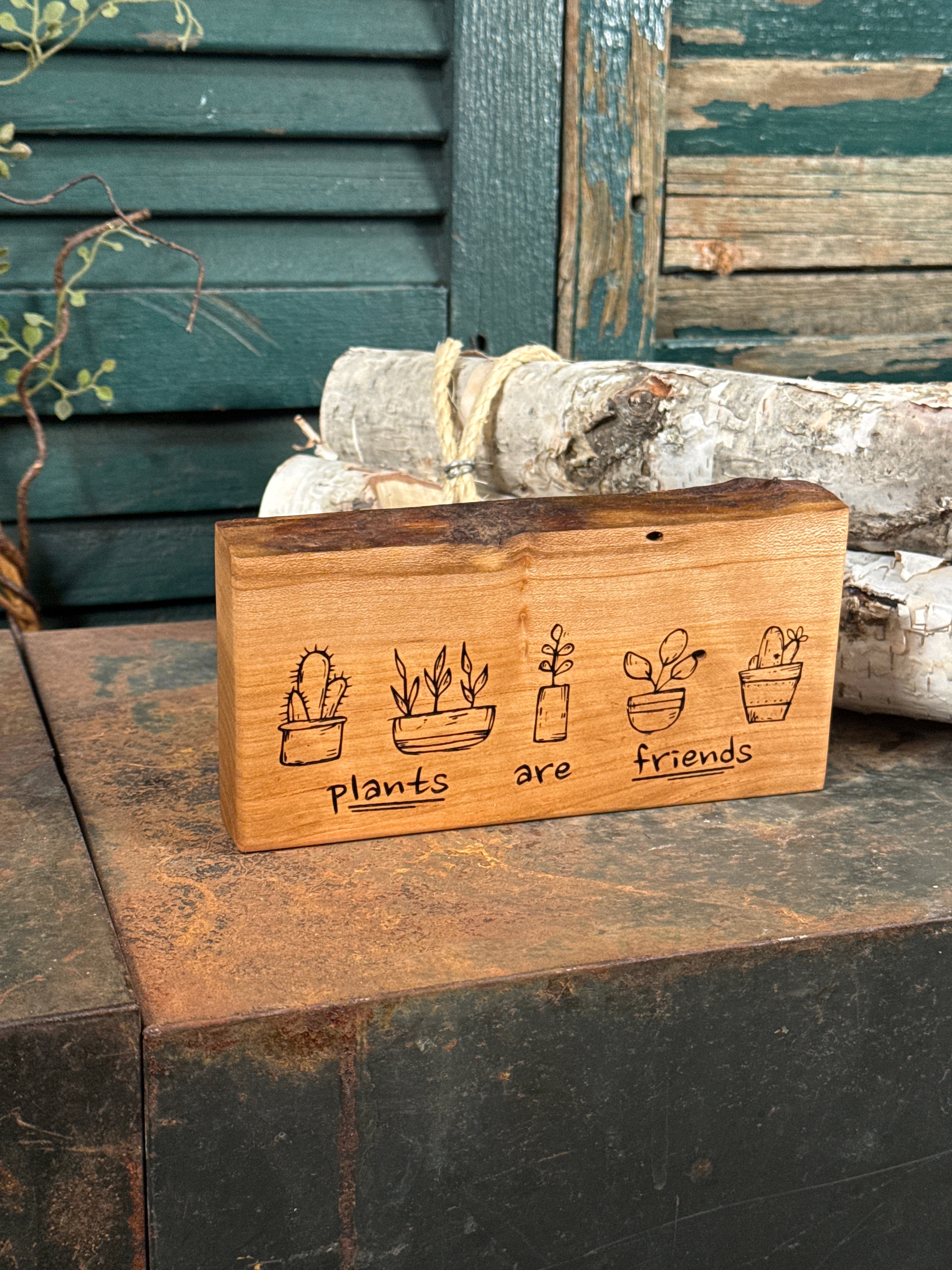 Plants are Friends on Cherry