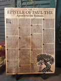 Romans on Maple Burl