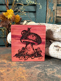 Mushroom on Cedar