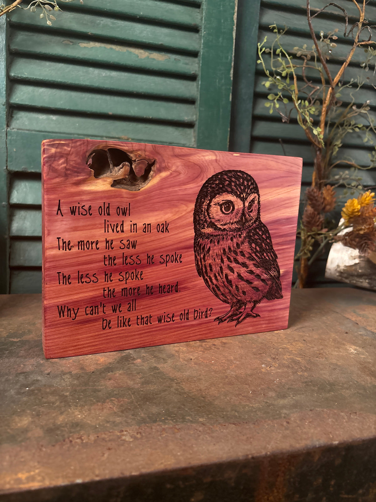 A Wise Old Owl on Cedar