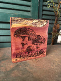 Mushroom on Cedar