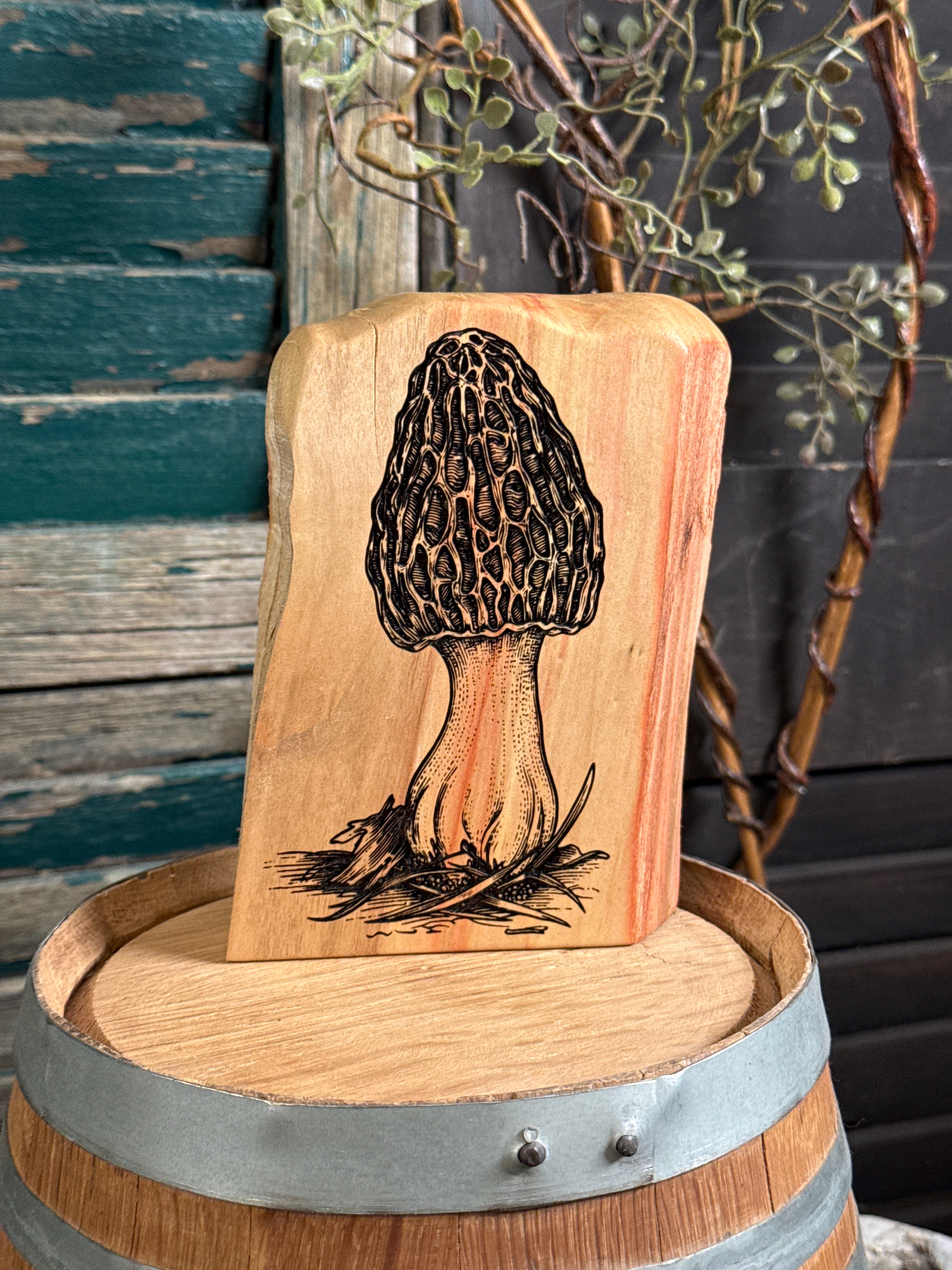 Mushroom on Box Elder