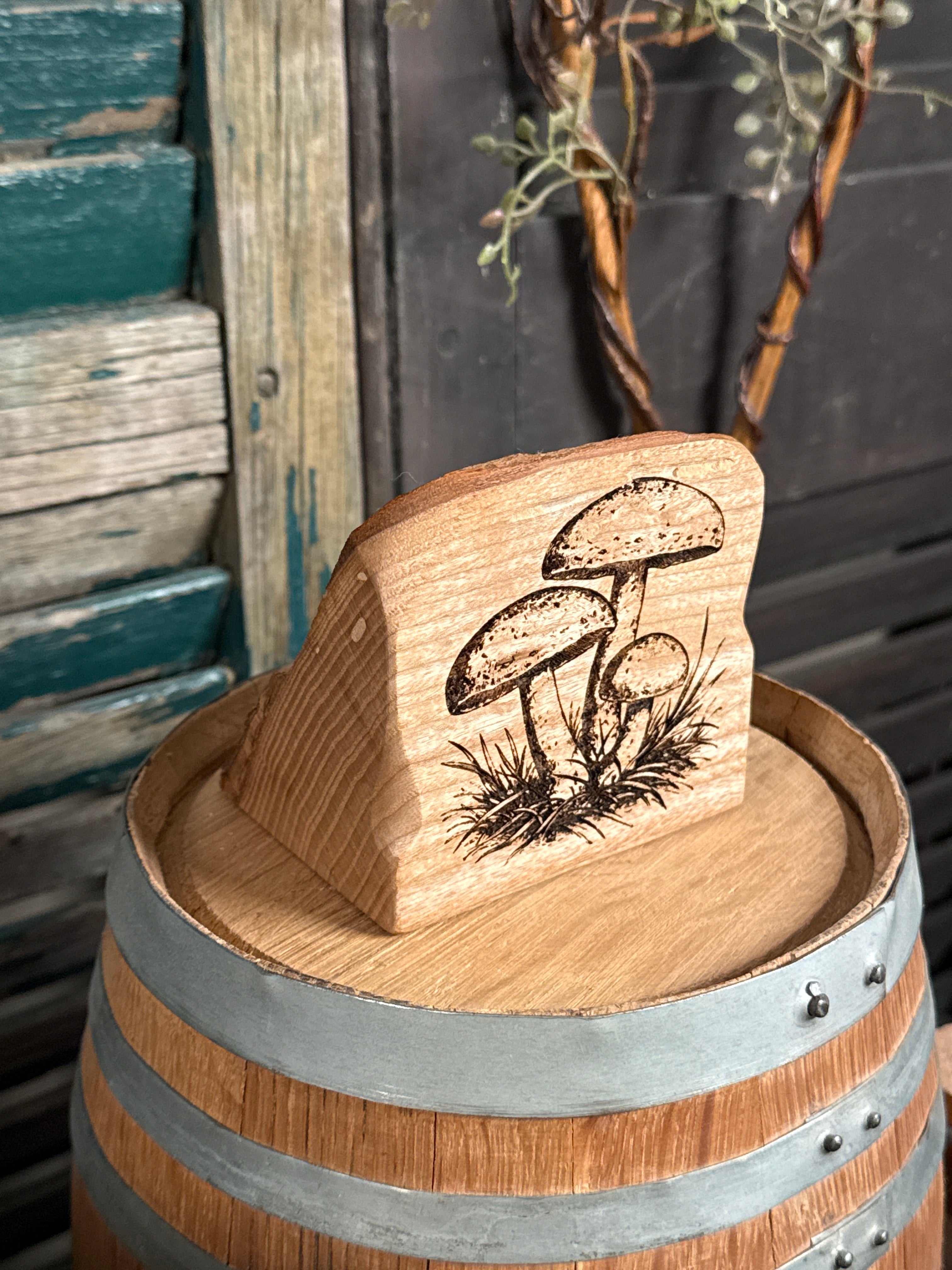 Mushroom on Oak