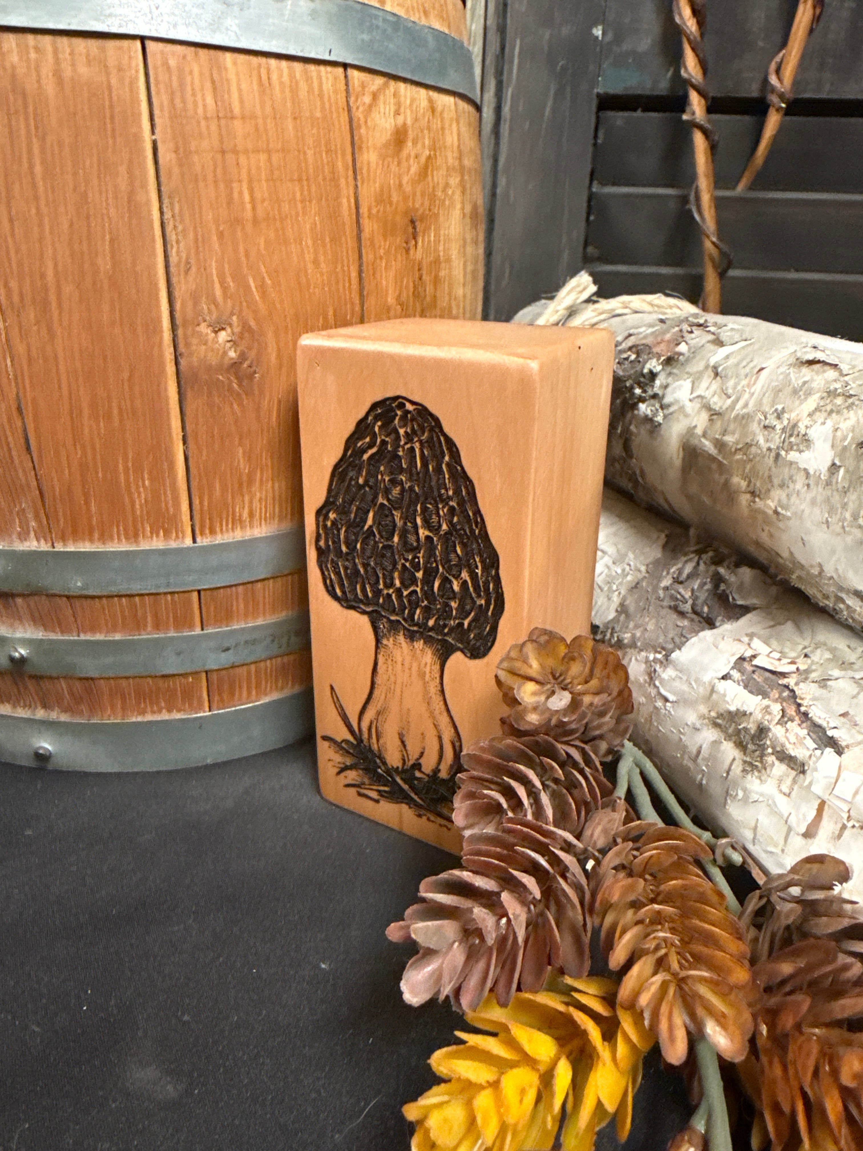 Small Morel on Sweetgum