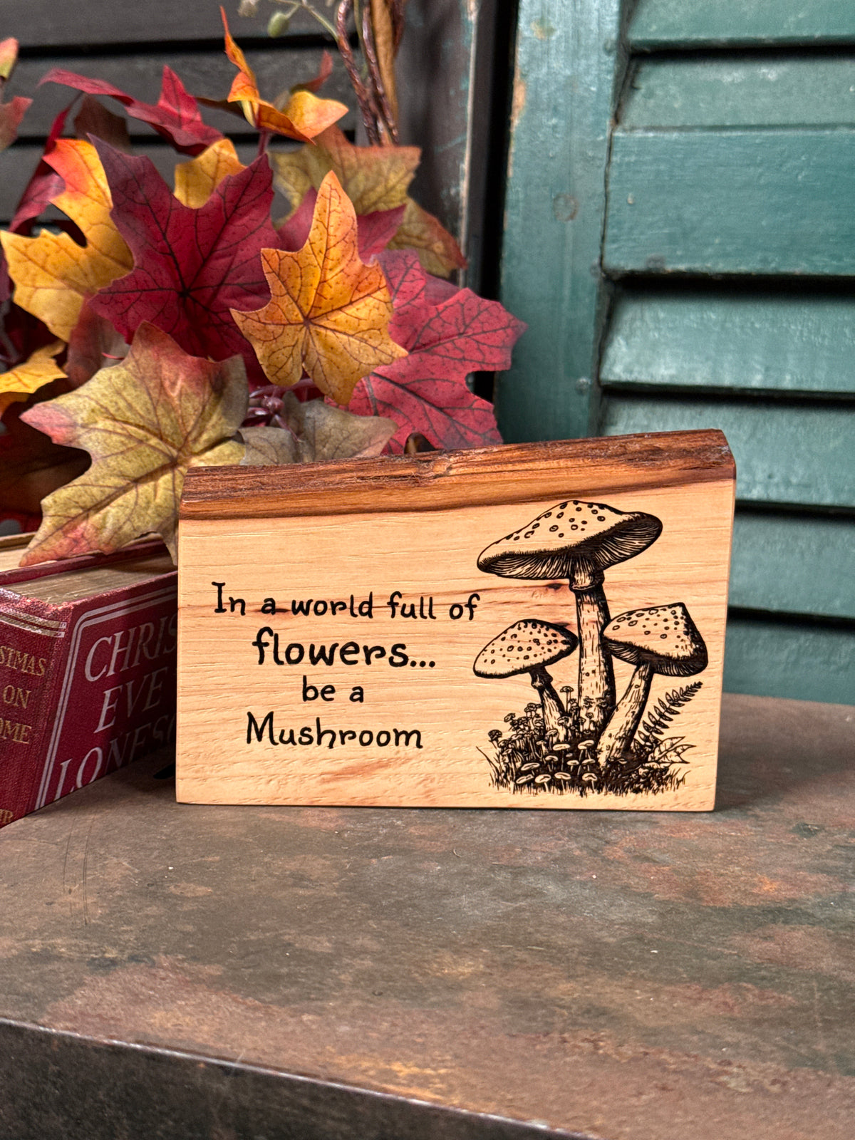 Be a Mushroom on Pecan