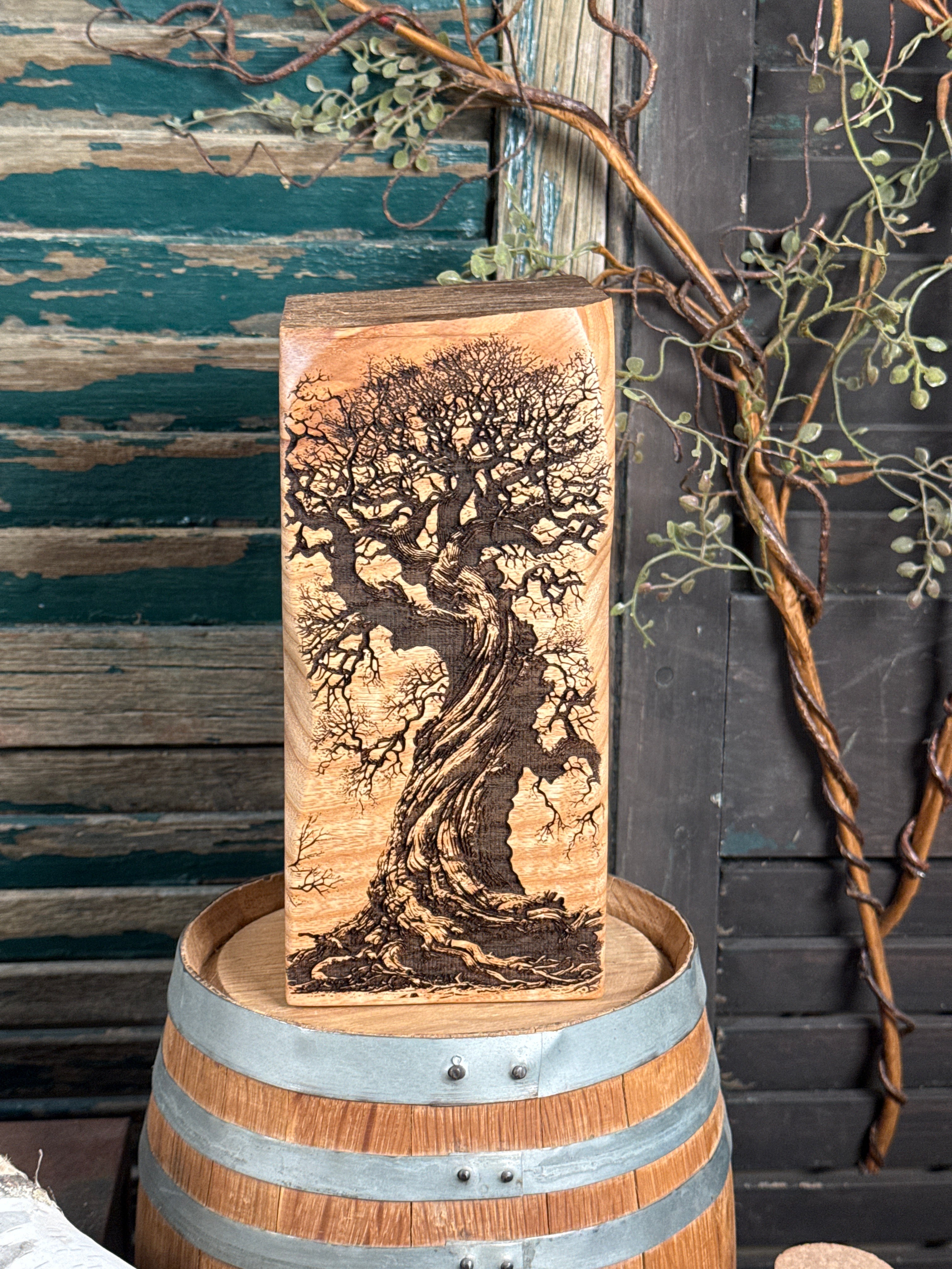 Ancient Ash Tree on Ash