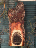 Into the Forest on Pecan