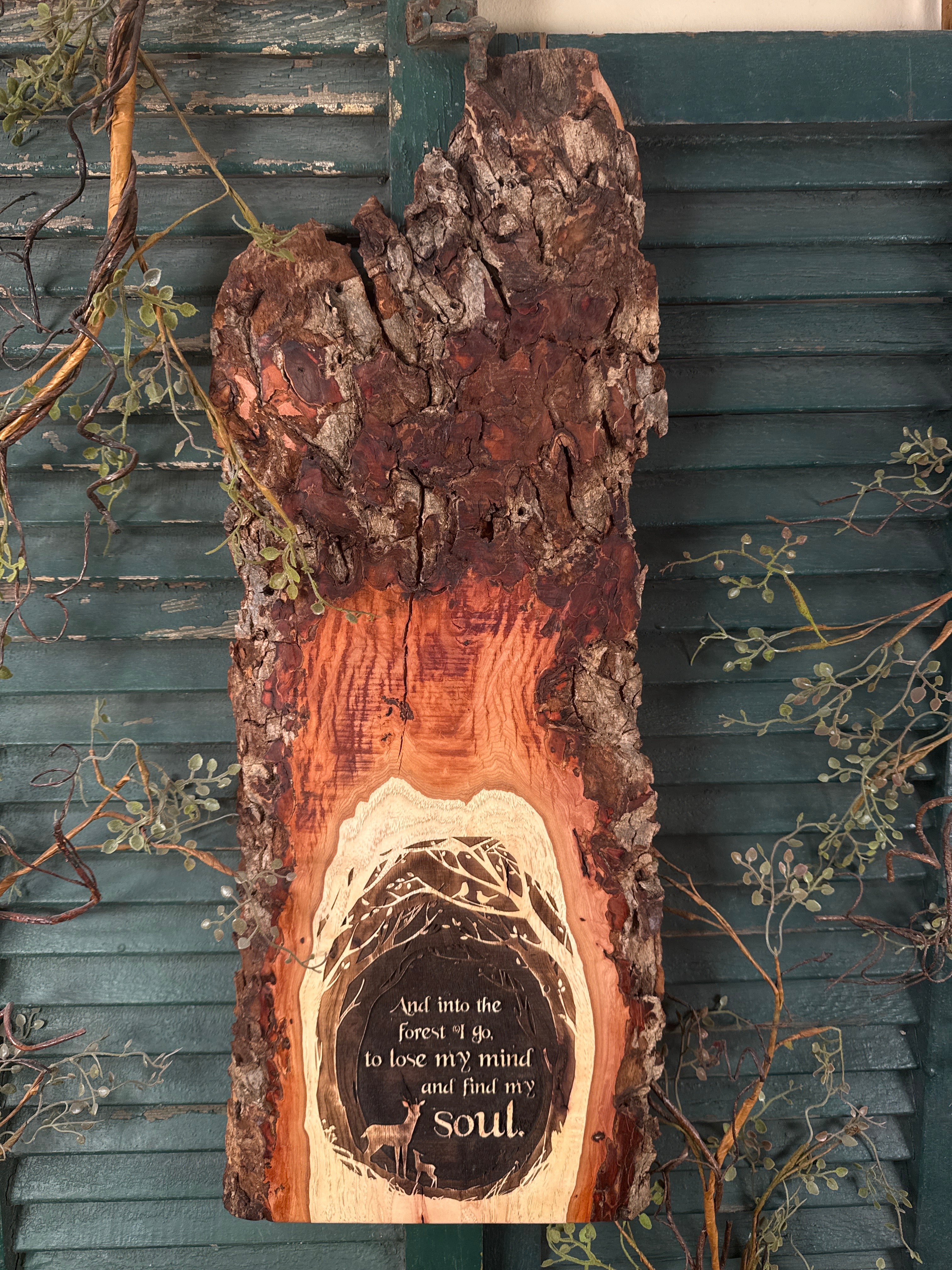 Into the Forest on Pecan