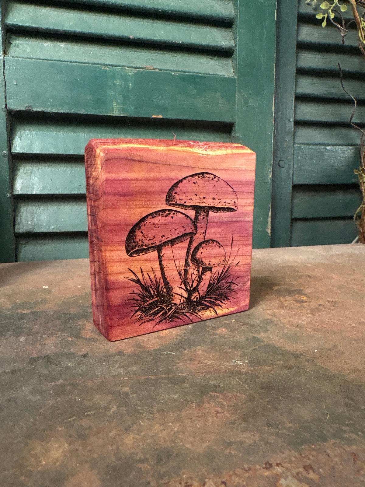 Mushroom on Cedar