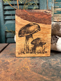 Mushroom on Oak