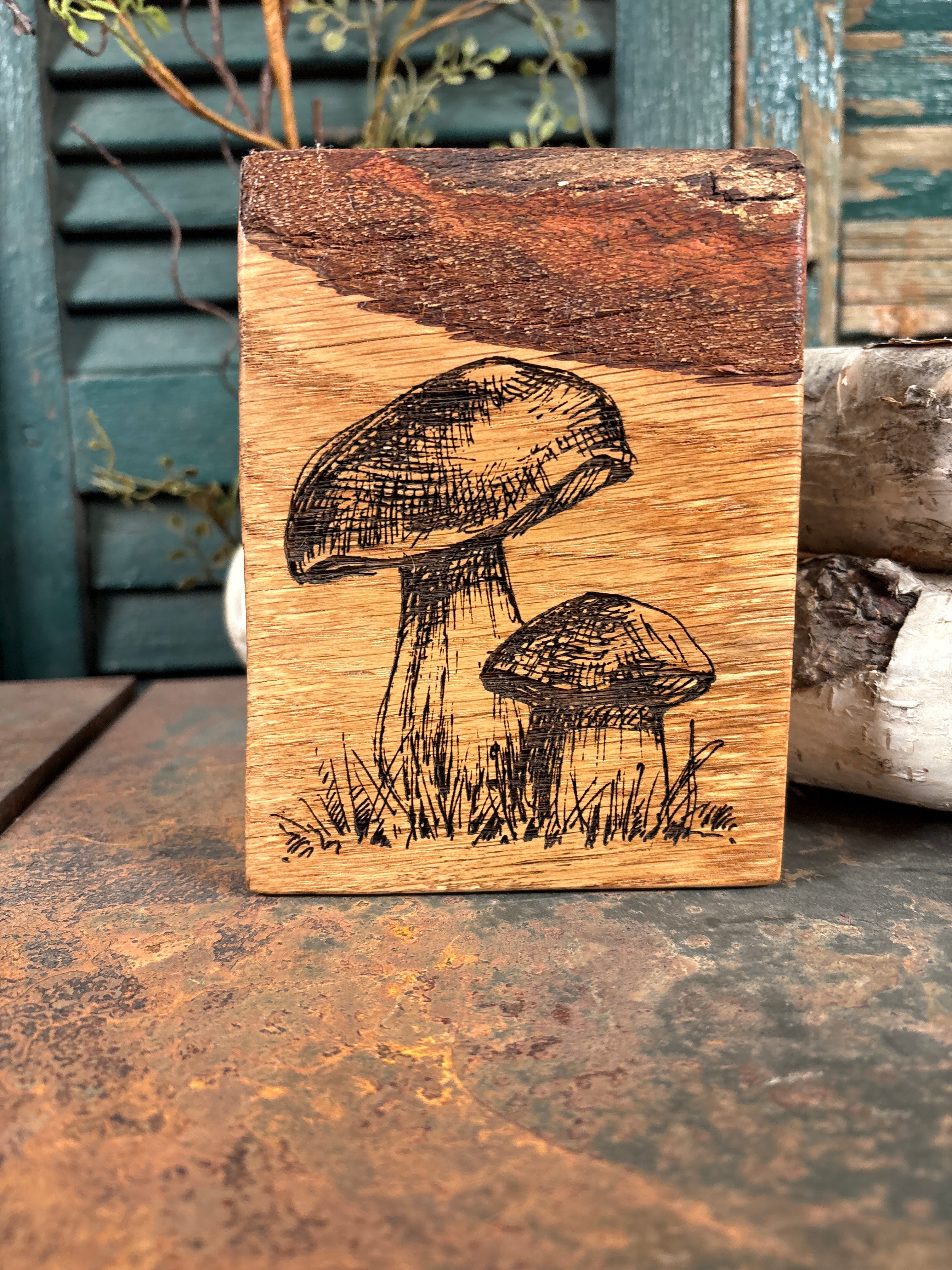 Mushroom on Oak