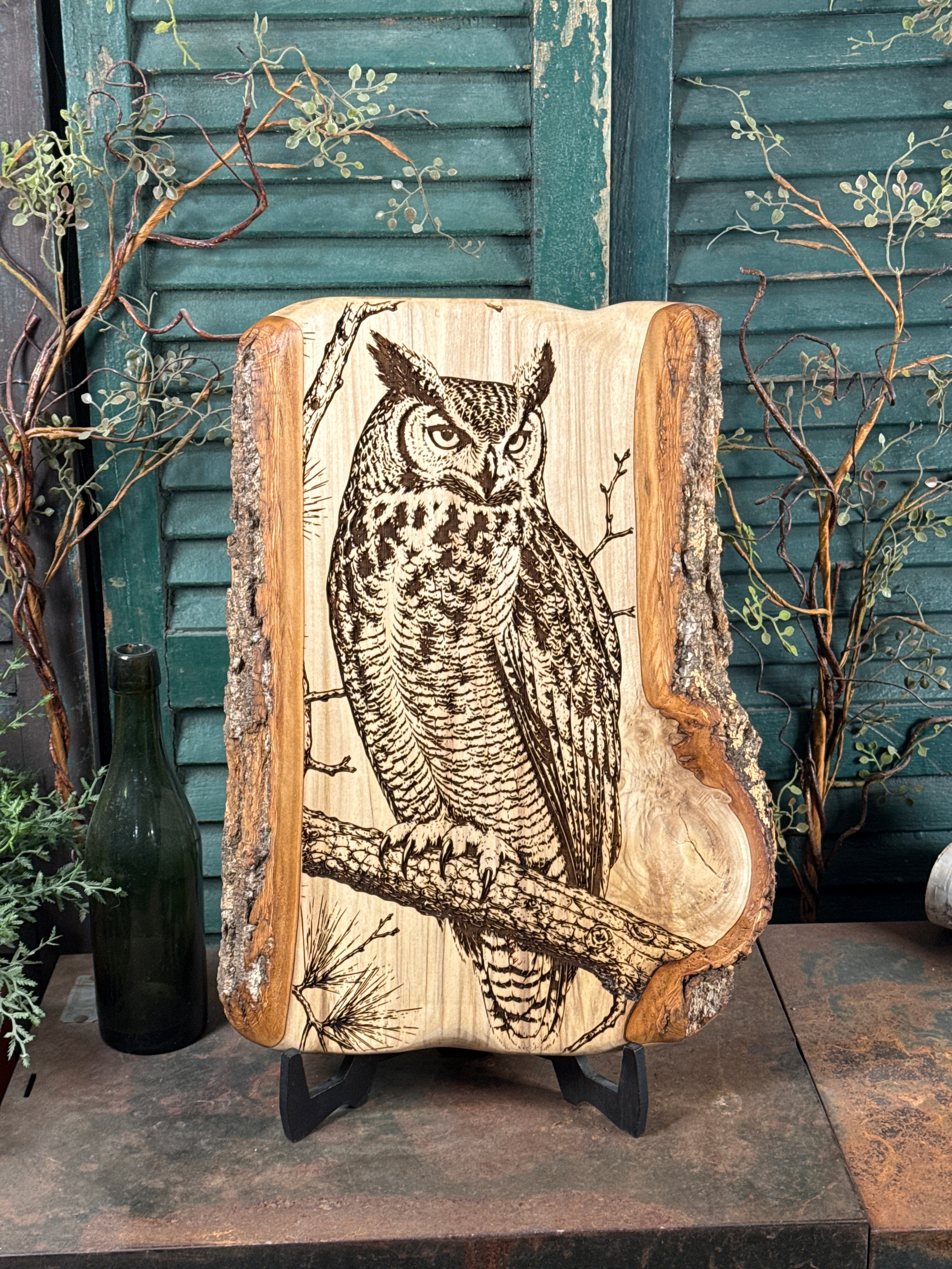 Great Horned Owl on Poplar