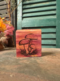 Mushroom on Cedar