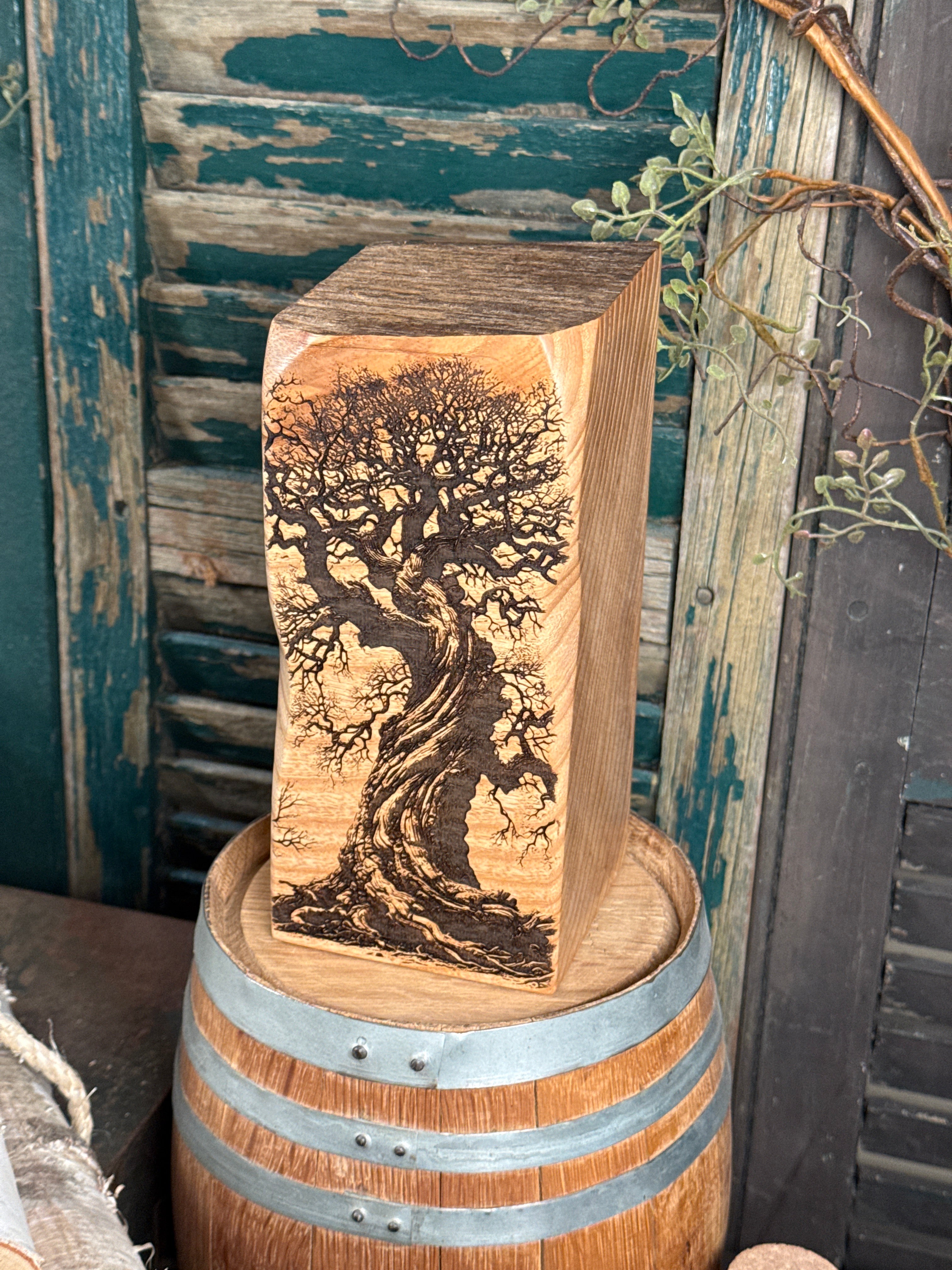 Ancient Ash Tree on Ash