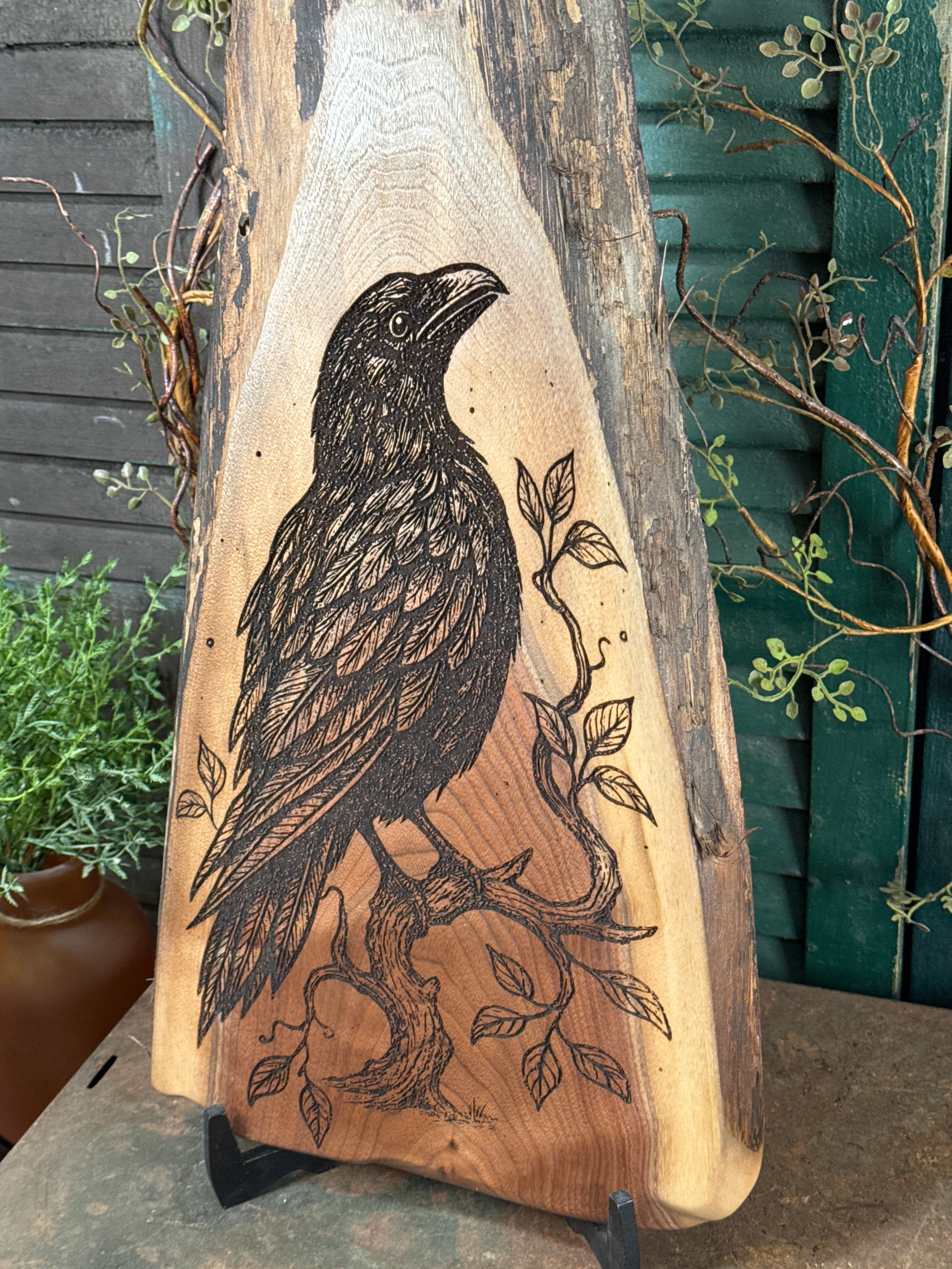 Ancient Crow on Walnut