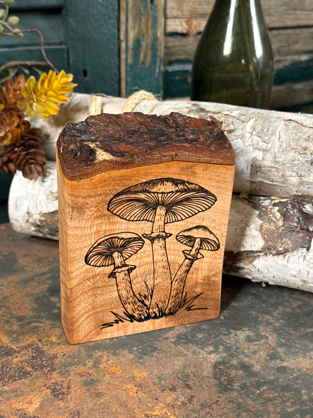 Mushroom on Maple