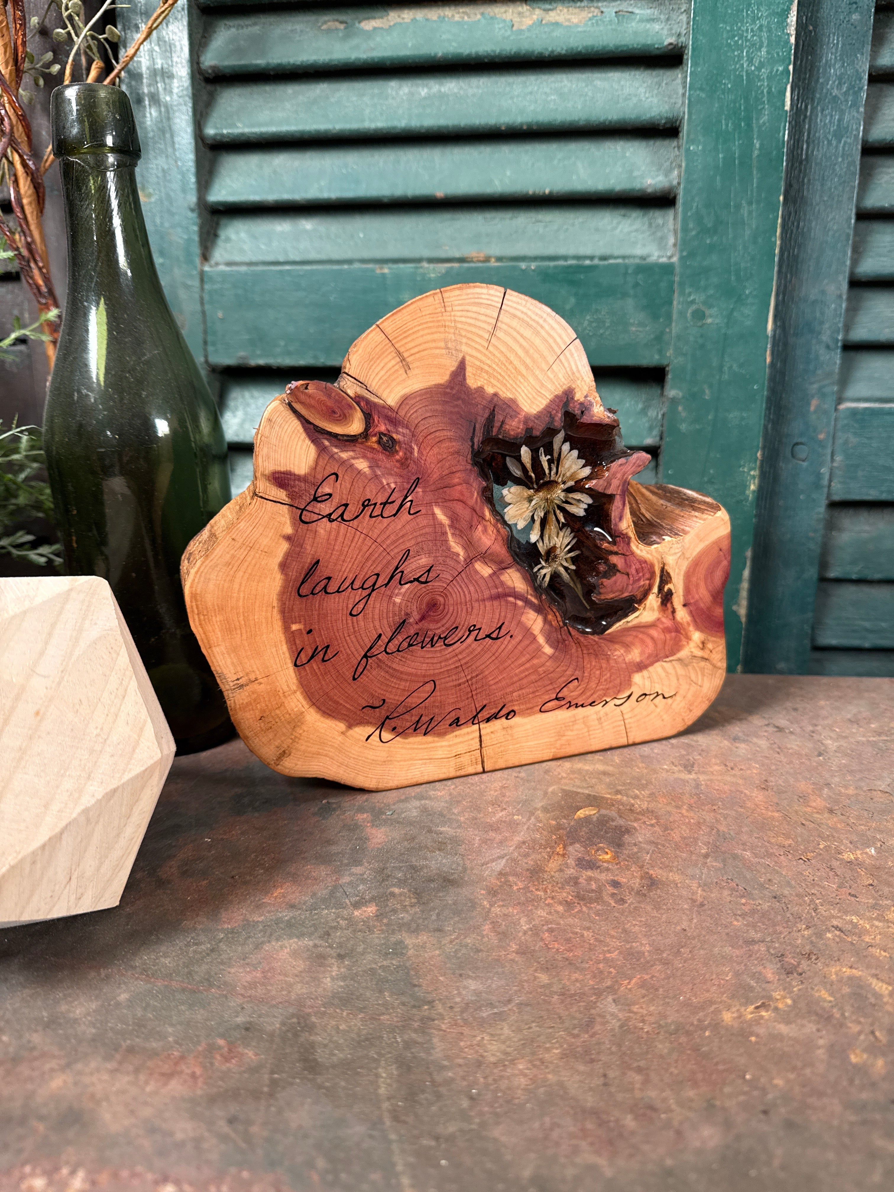 The Earth Laughs on Cedar