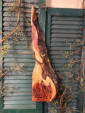 Animal Campfire on Cedar