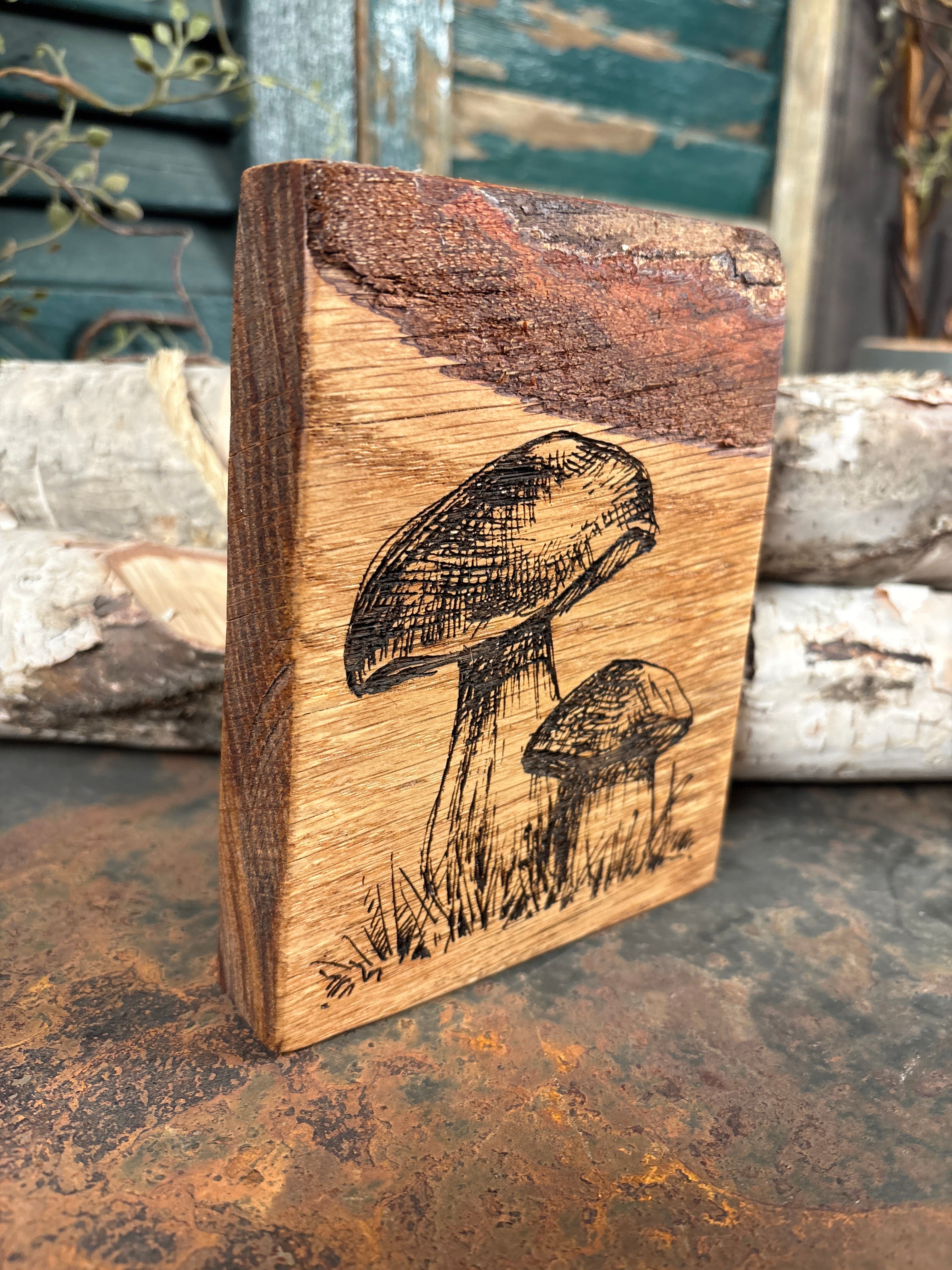 Mushroom on Oak
