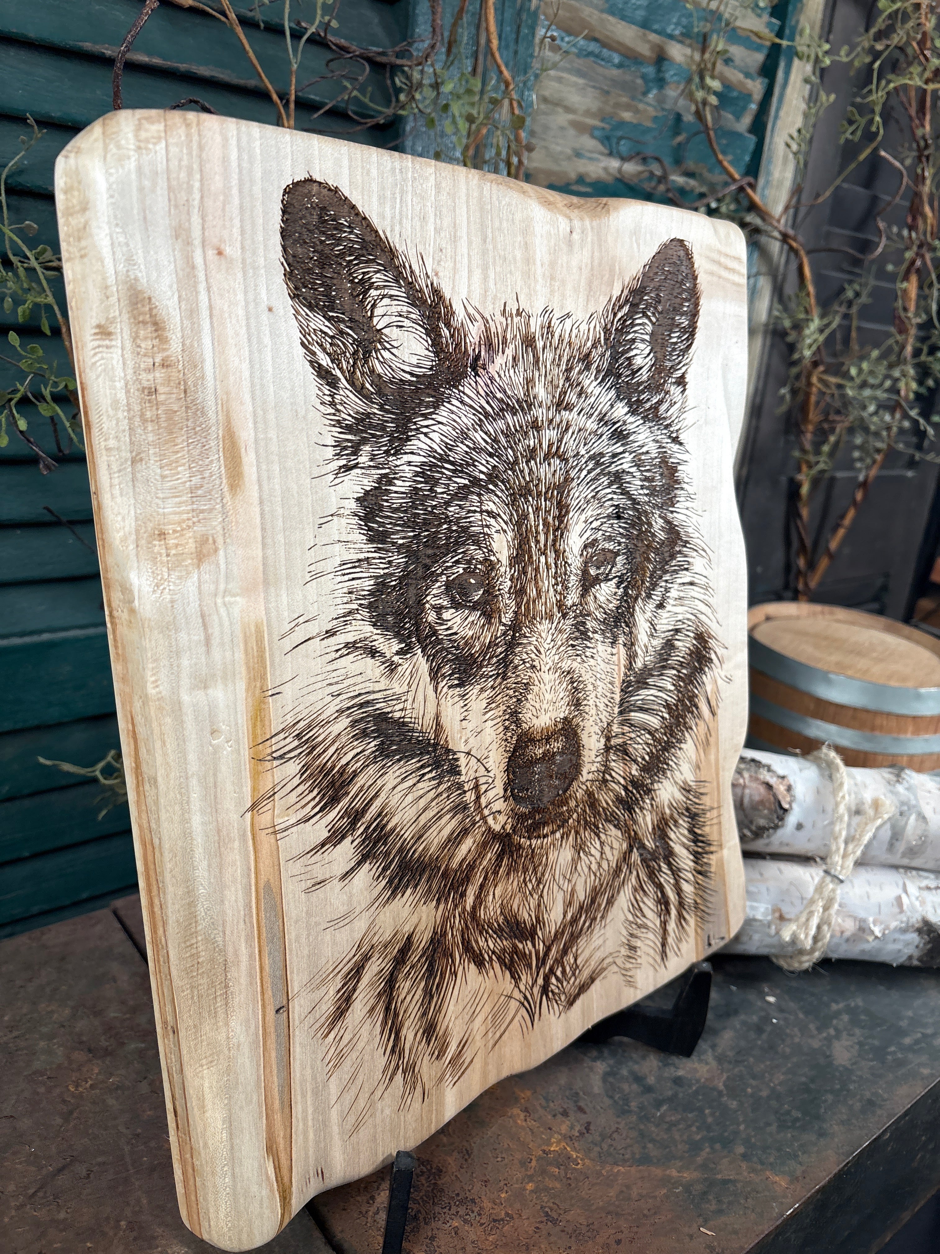 Timber Wolf on Maple