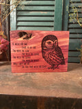 A Wise Old Owl on Cedar