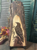 Ancient Raven on Walnut