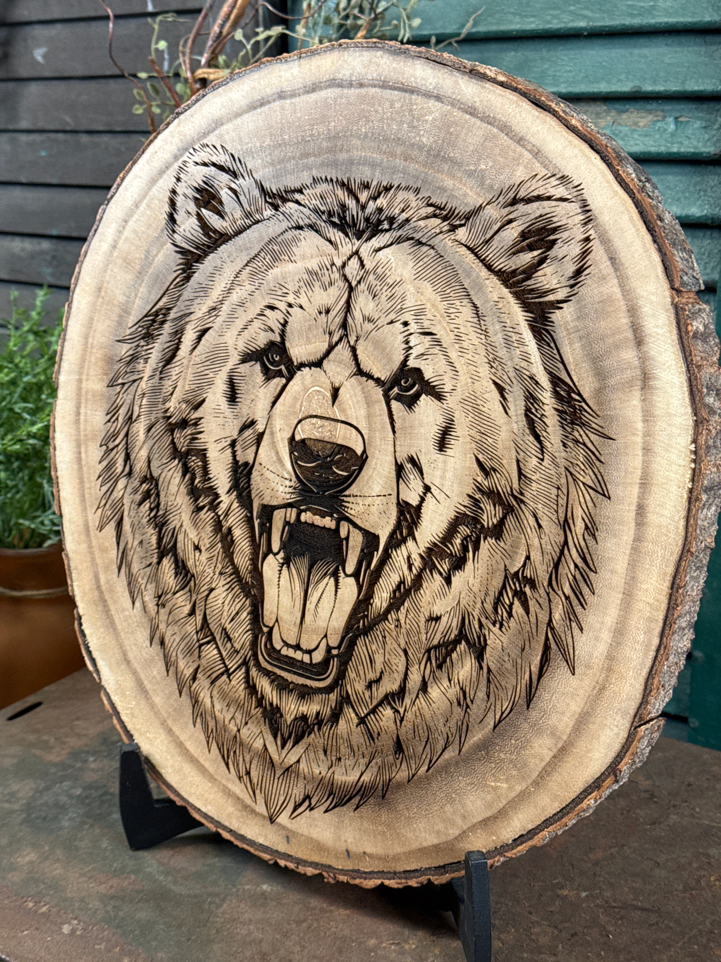 Bear Head on Balsa