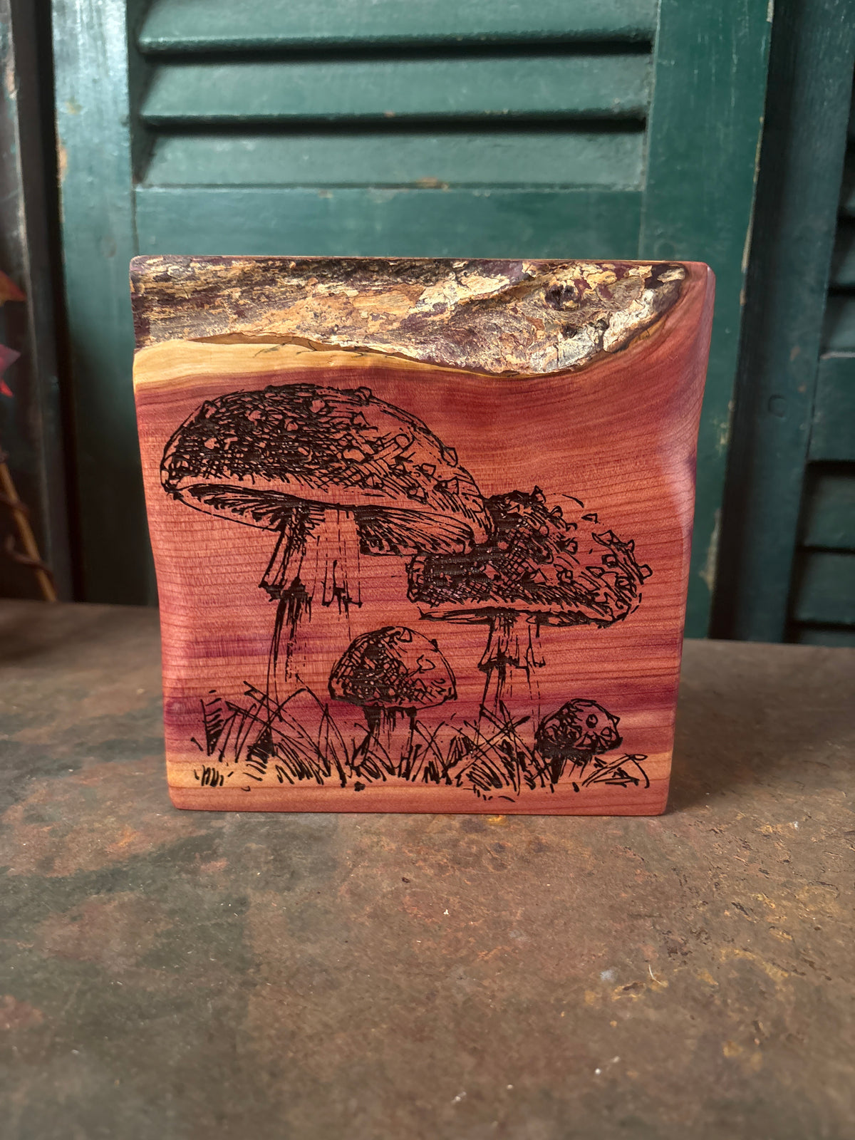 Mushroom on Cedar