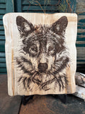 Timber Wolf on Maple