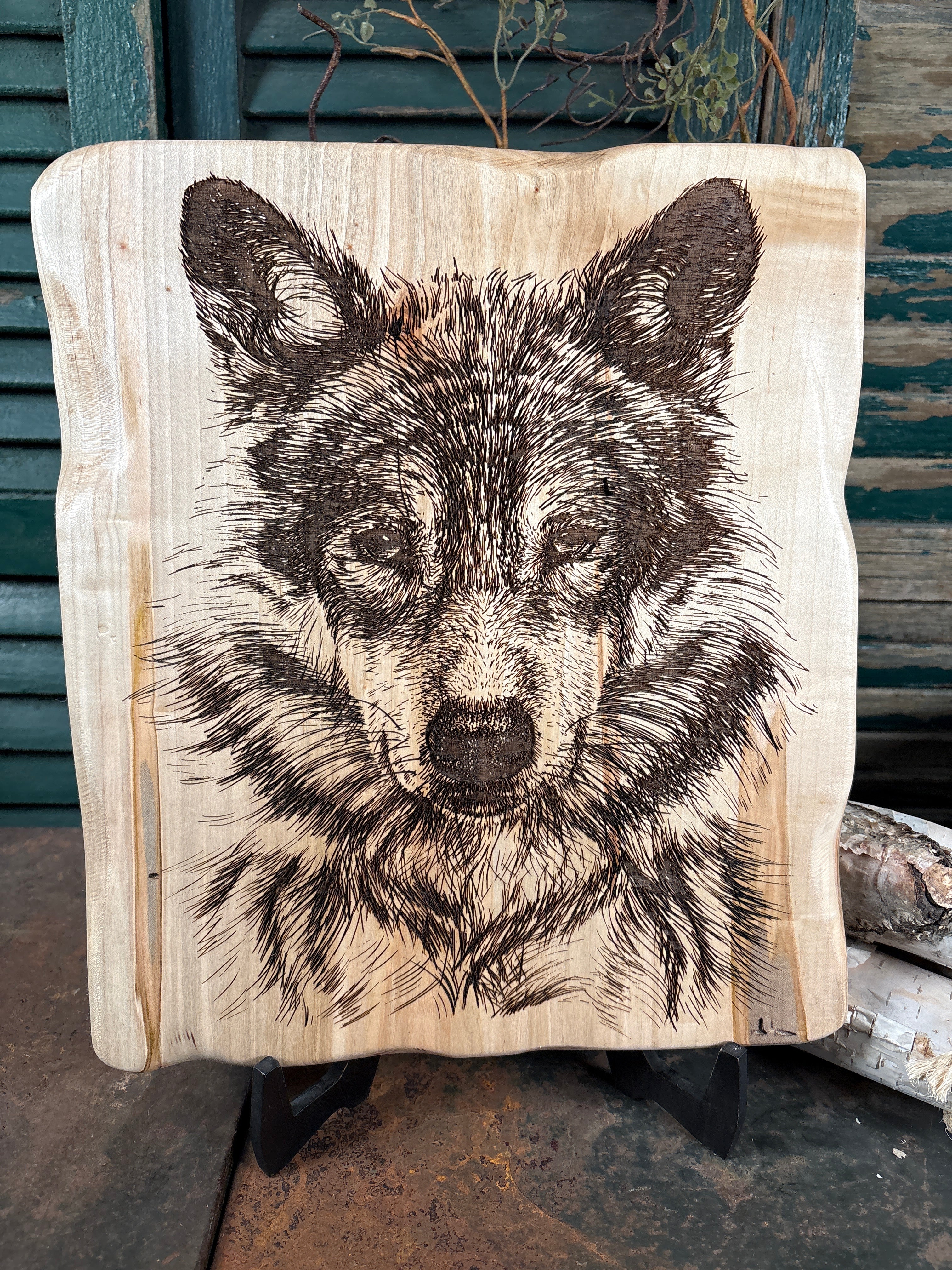 Timber Wolf on Maple