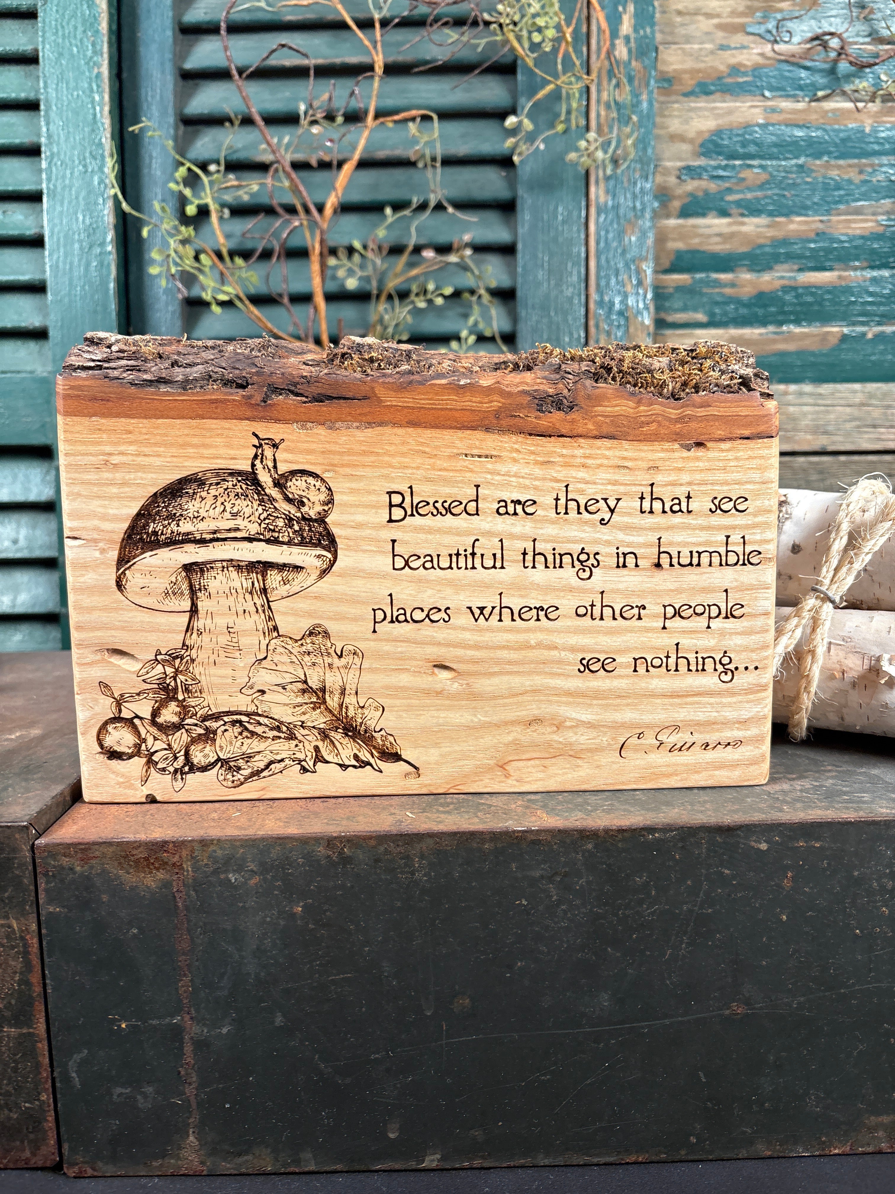 Beautiful Things on Ash