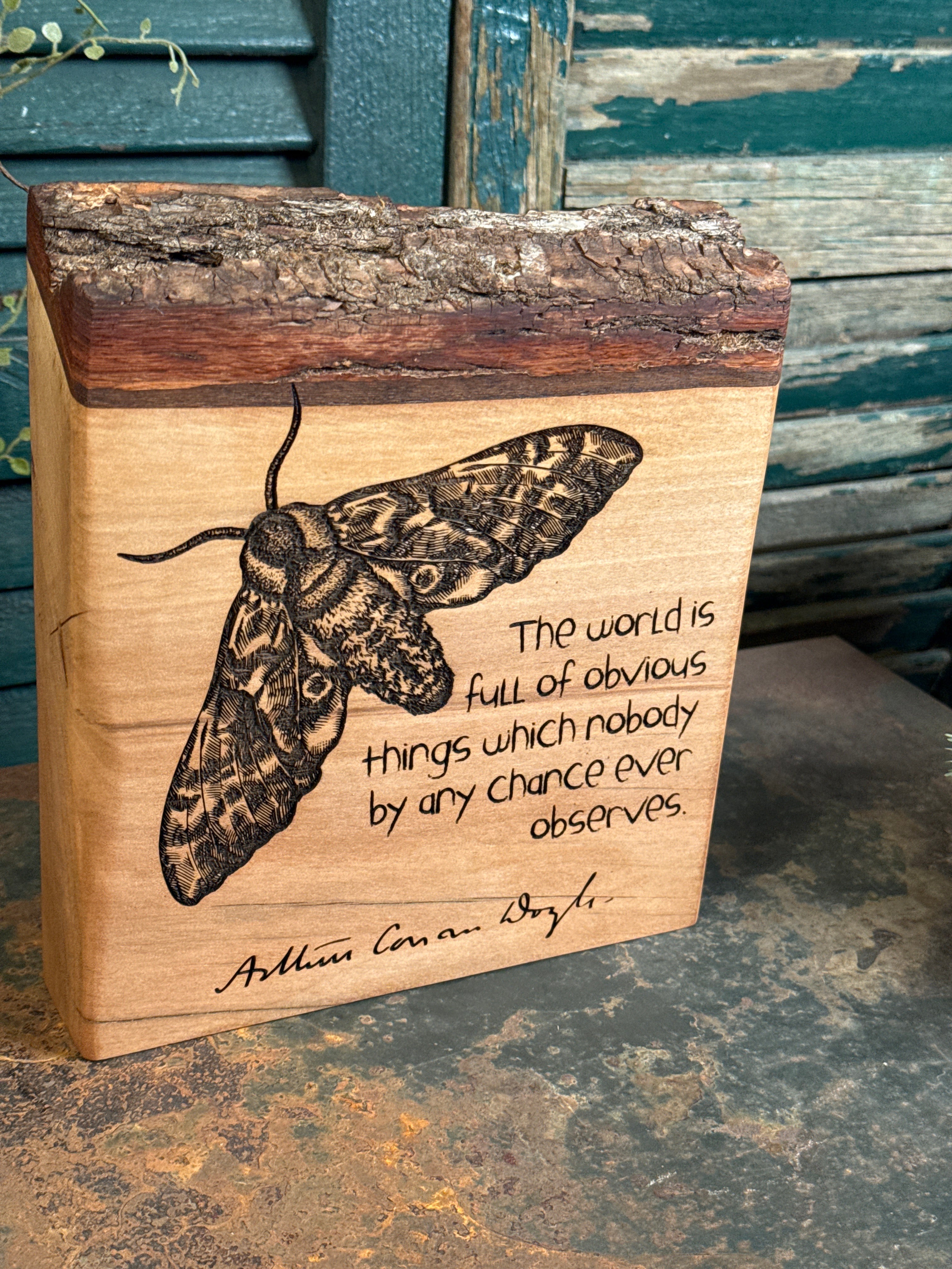 Obvious Things on Sweetgum