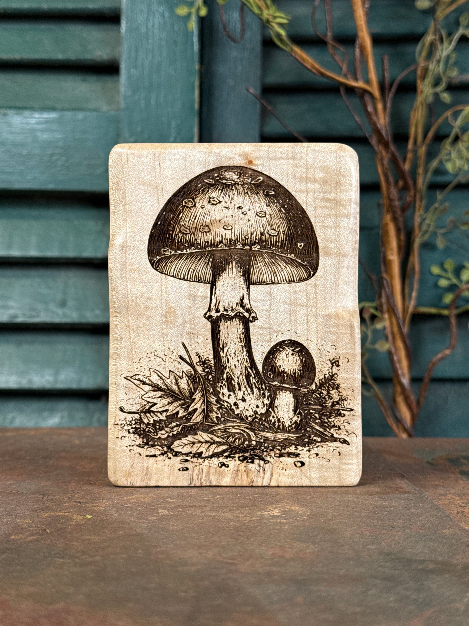 Forest Mushrooms on Maple