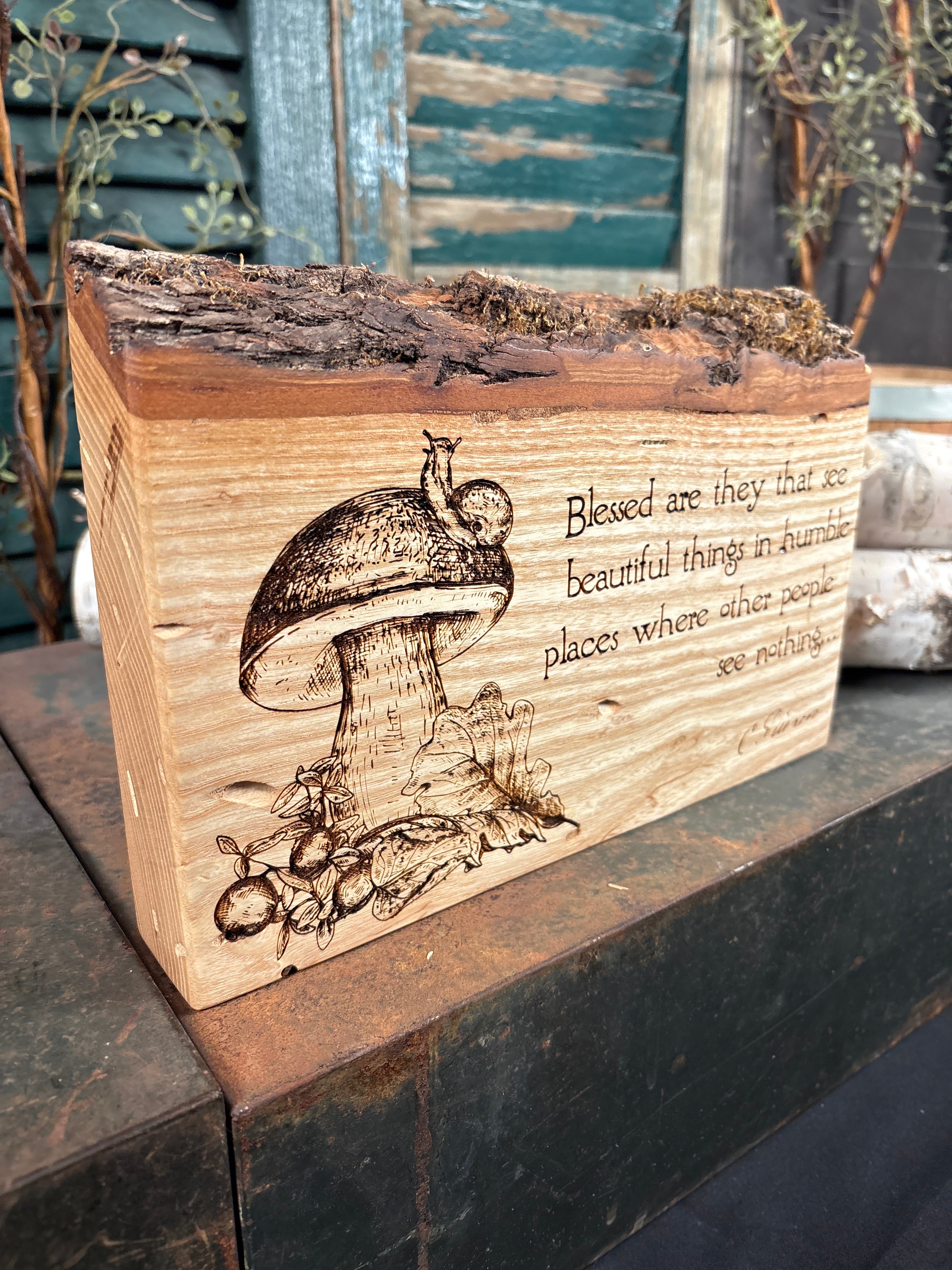 Beautiful Things on Ash