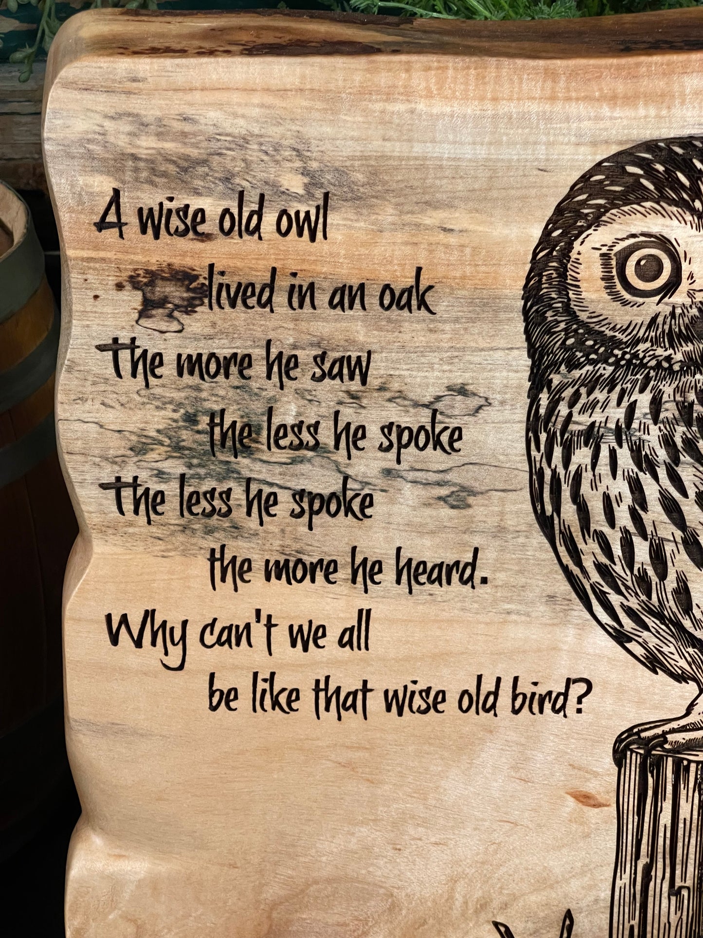 Wise Old Owl on Maple