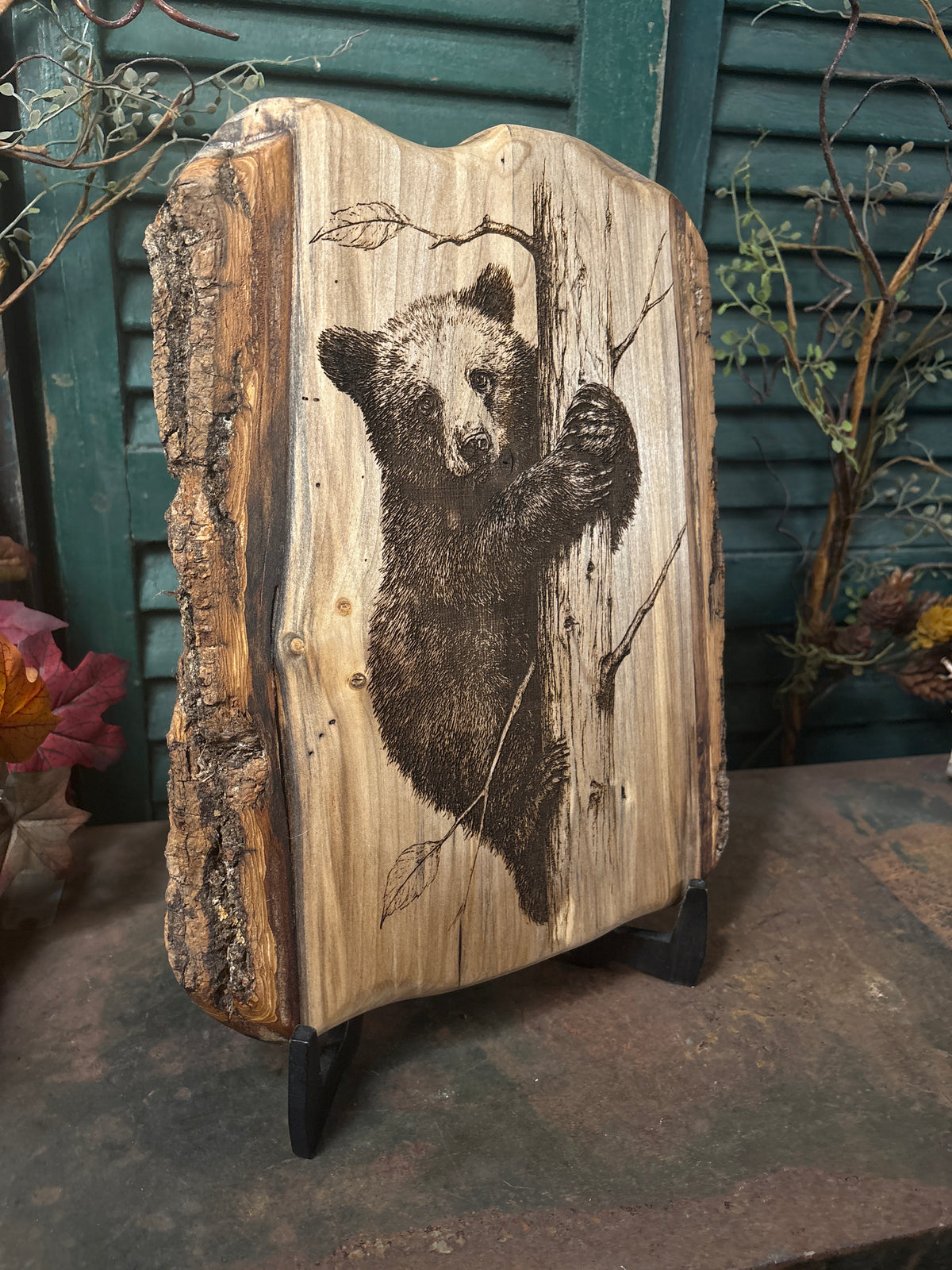 Bear Cub on Poplar