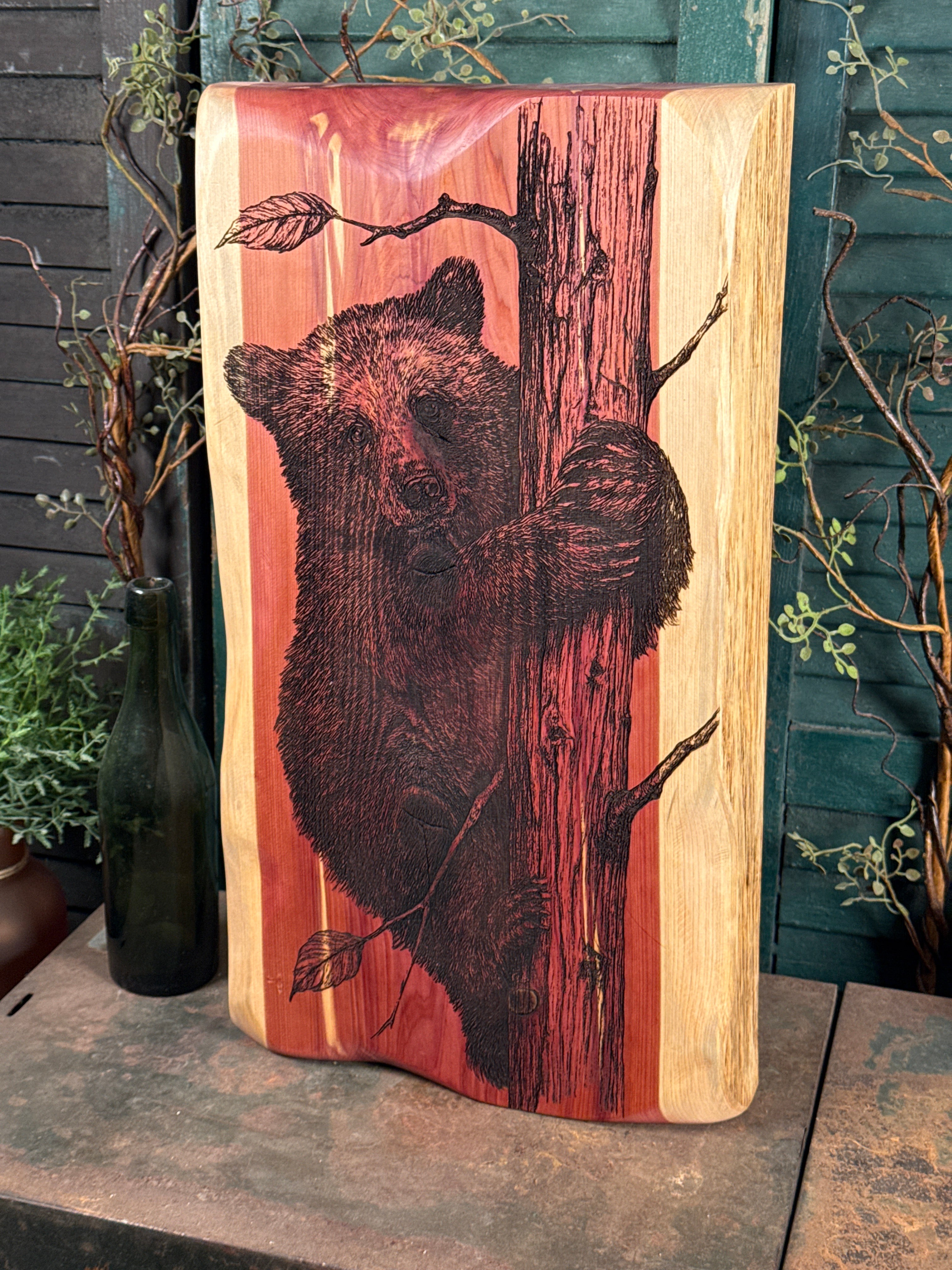 Bear Cub on Cedar
