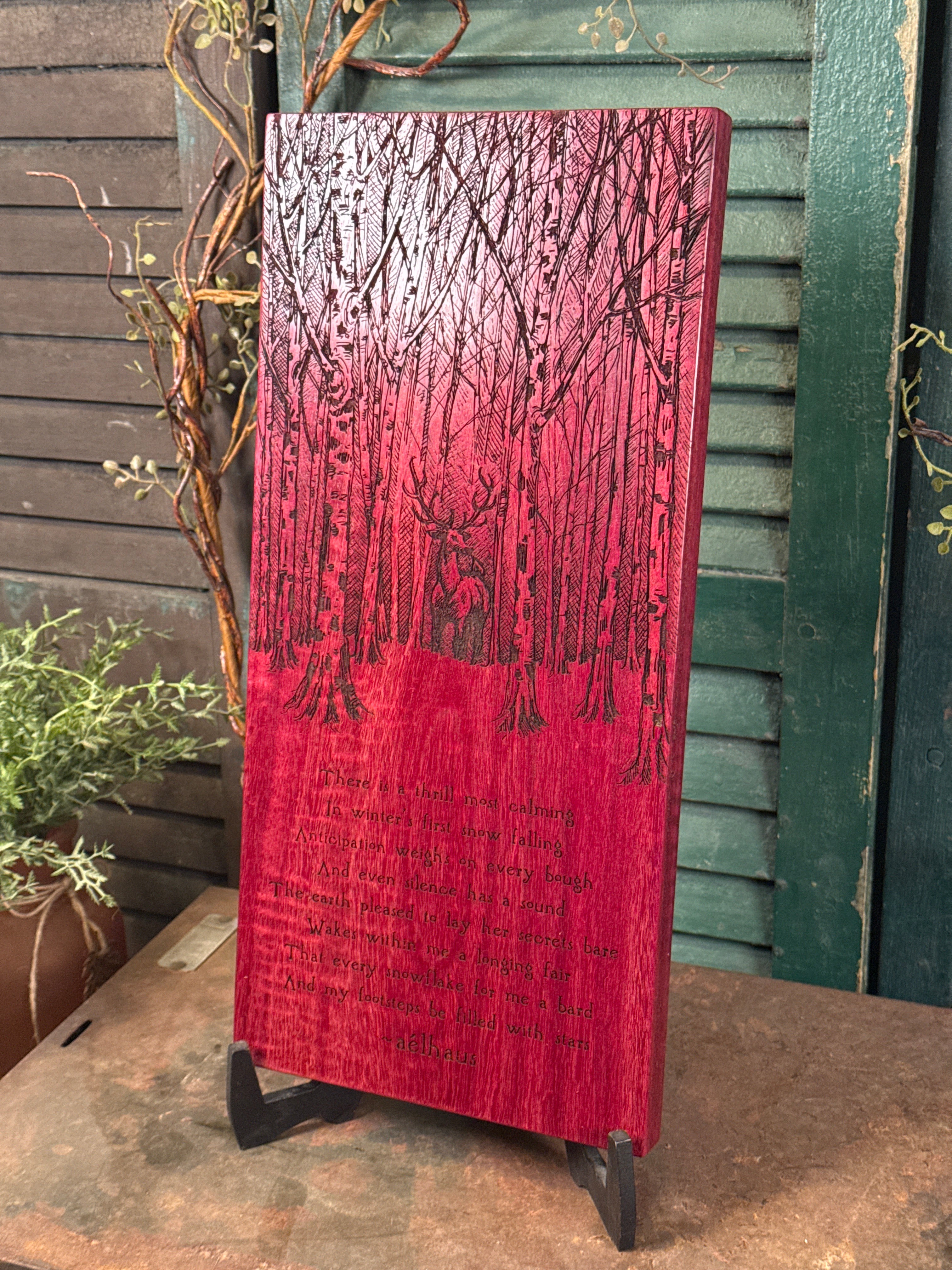 Winter’s First Snow