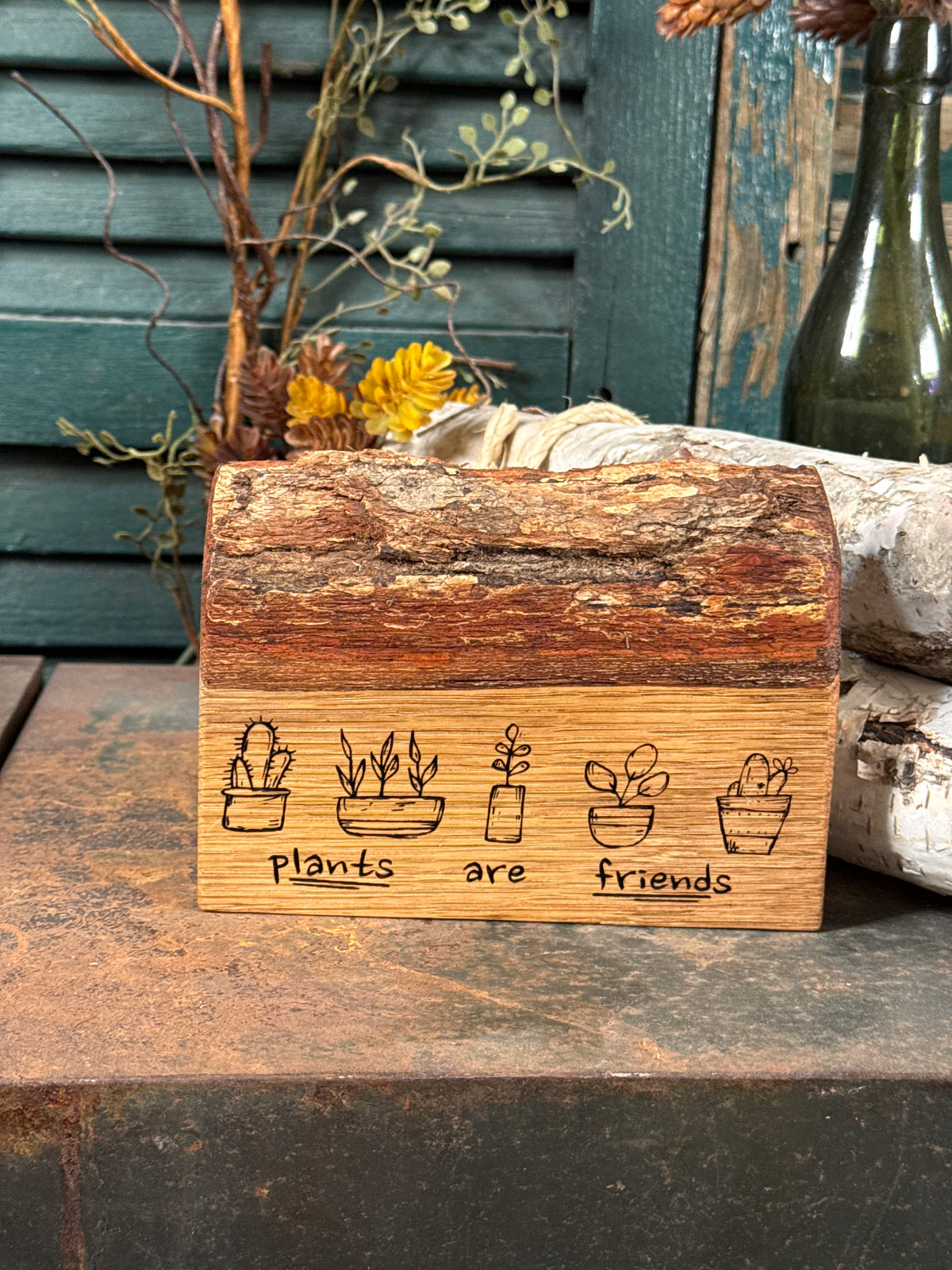 Plants are Friends on Oak