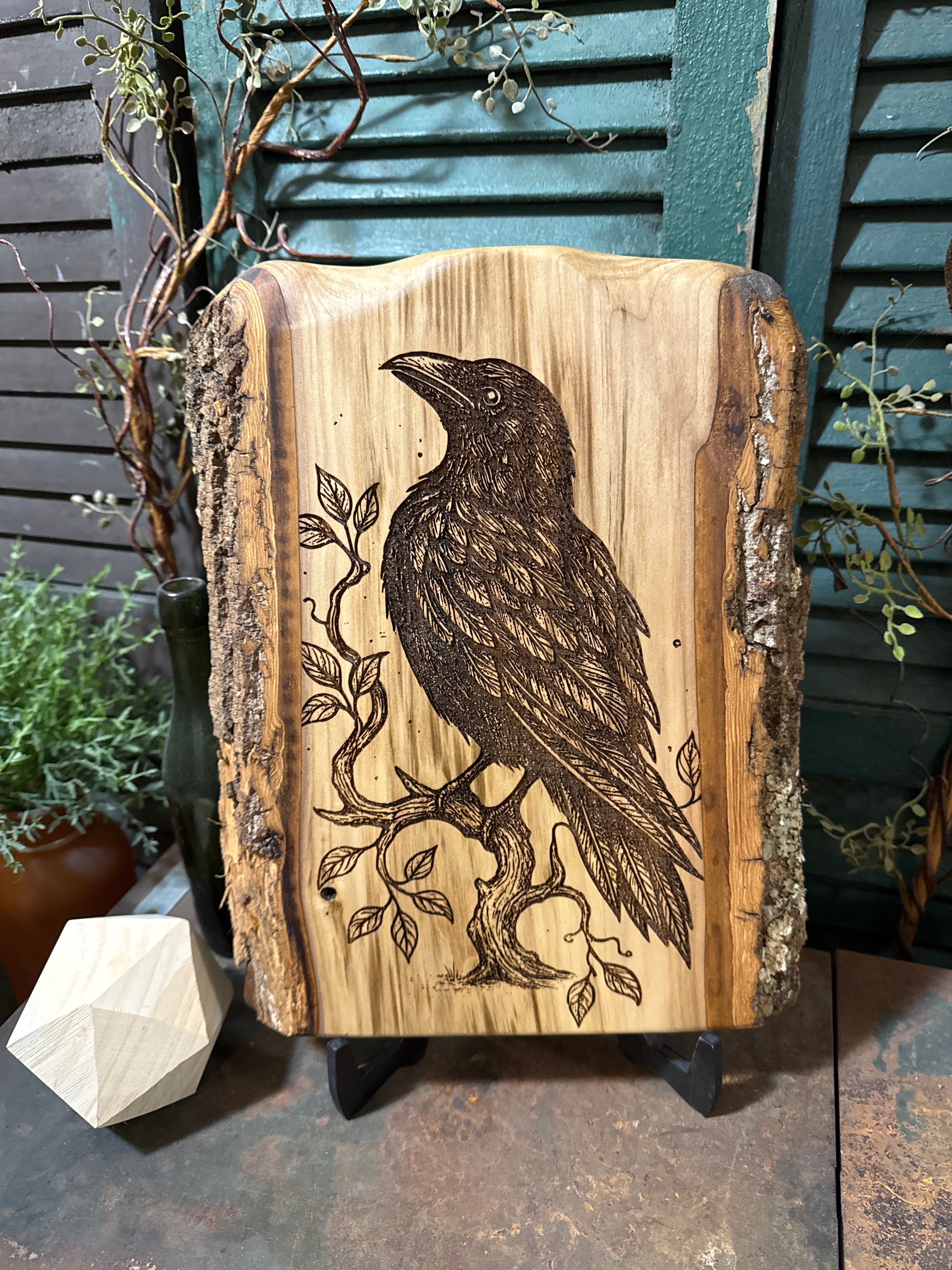 Ancient Raven on Poplar