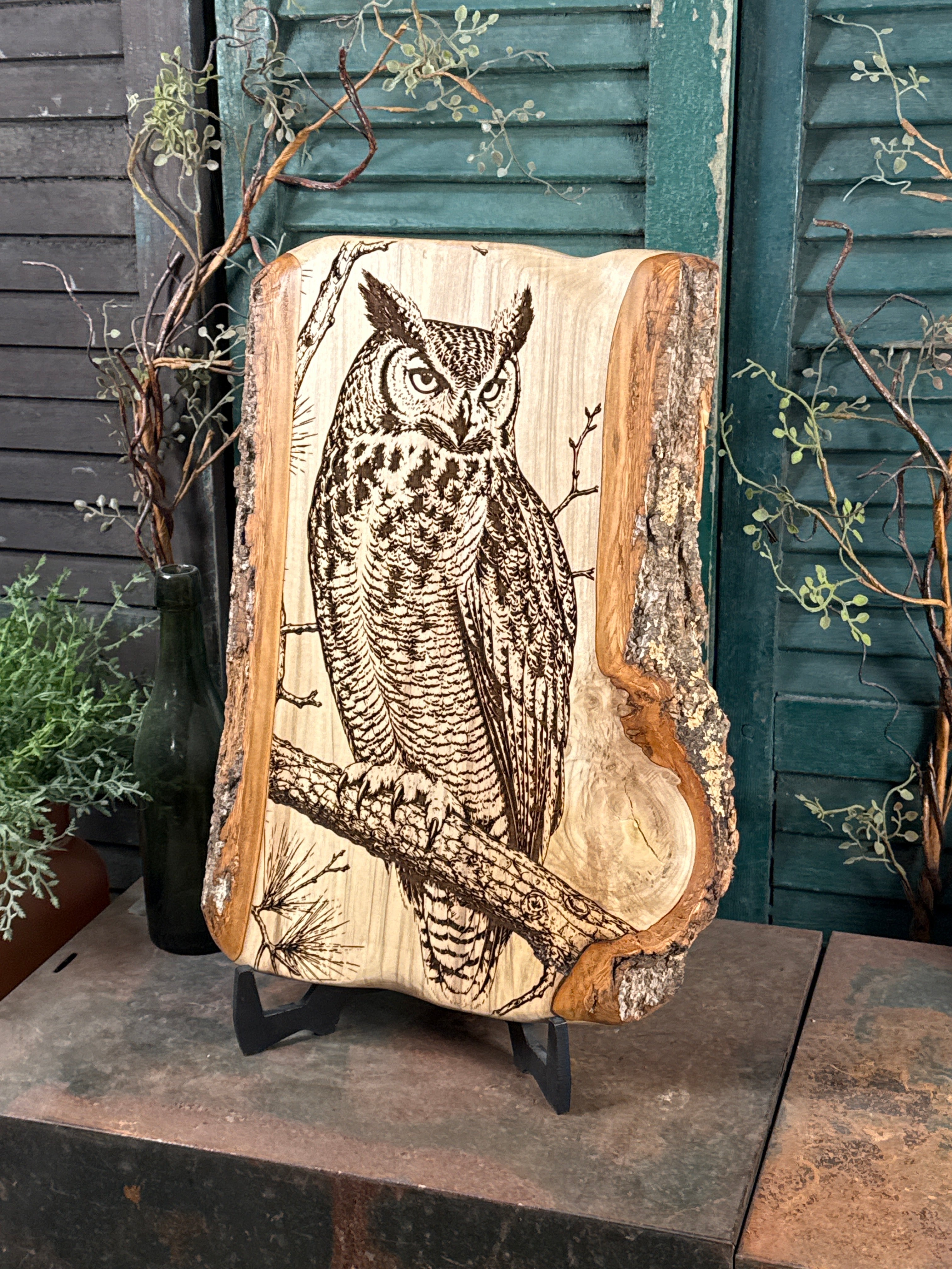 Great Horned Owl on Poplar