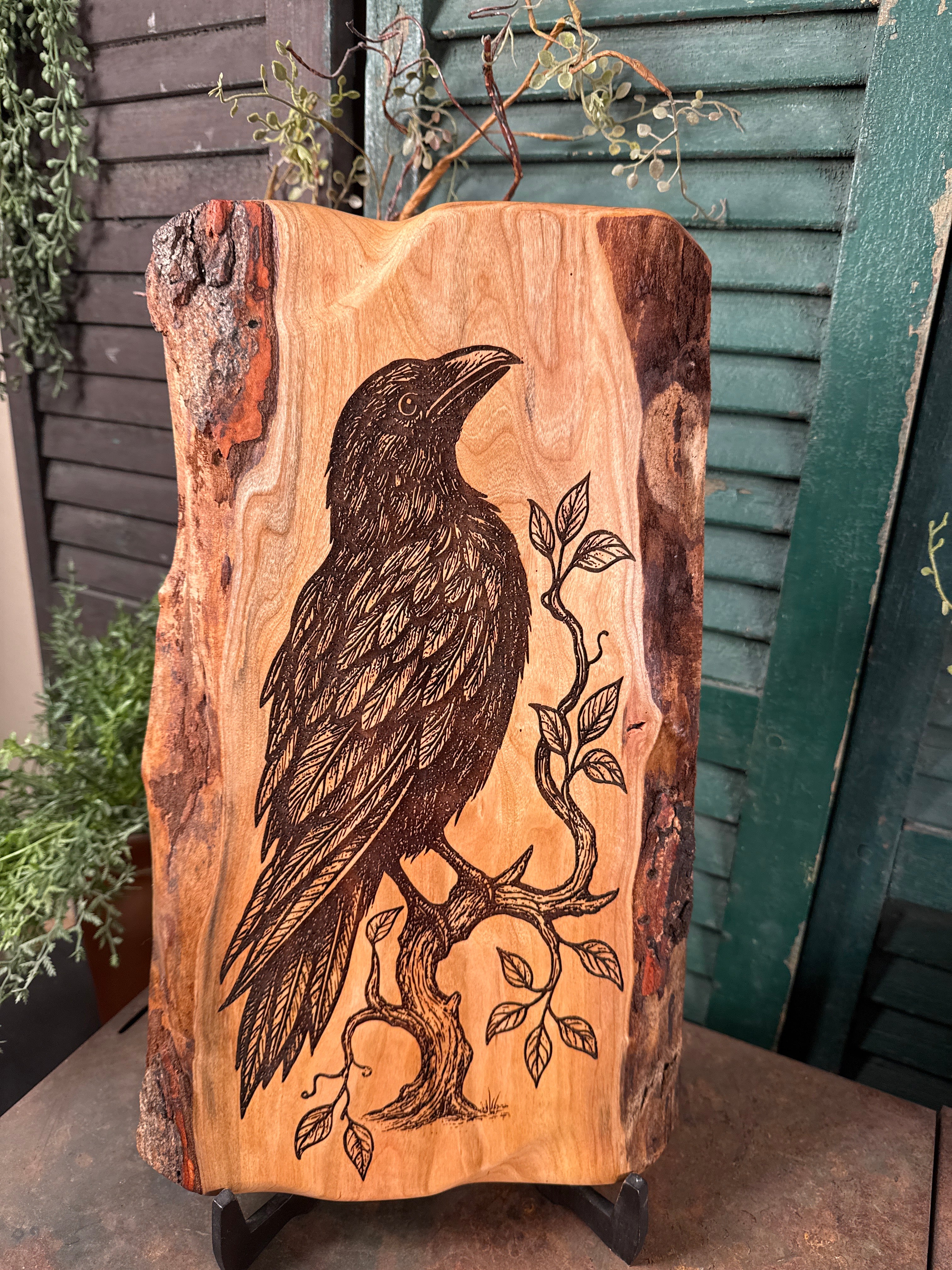 Ancient Raven on Cherry
