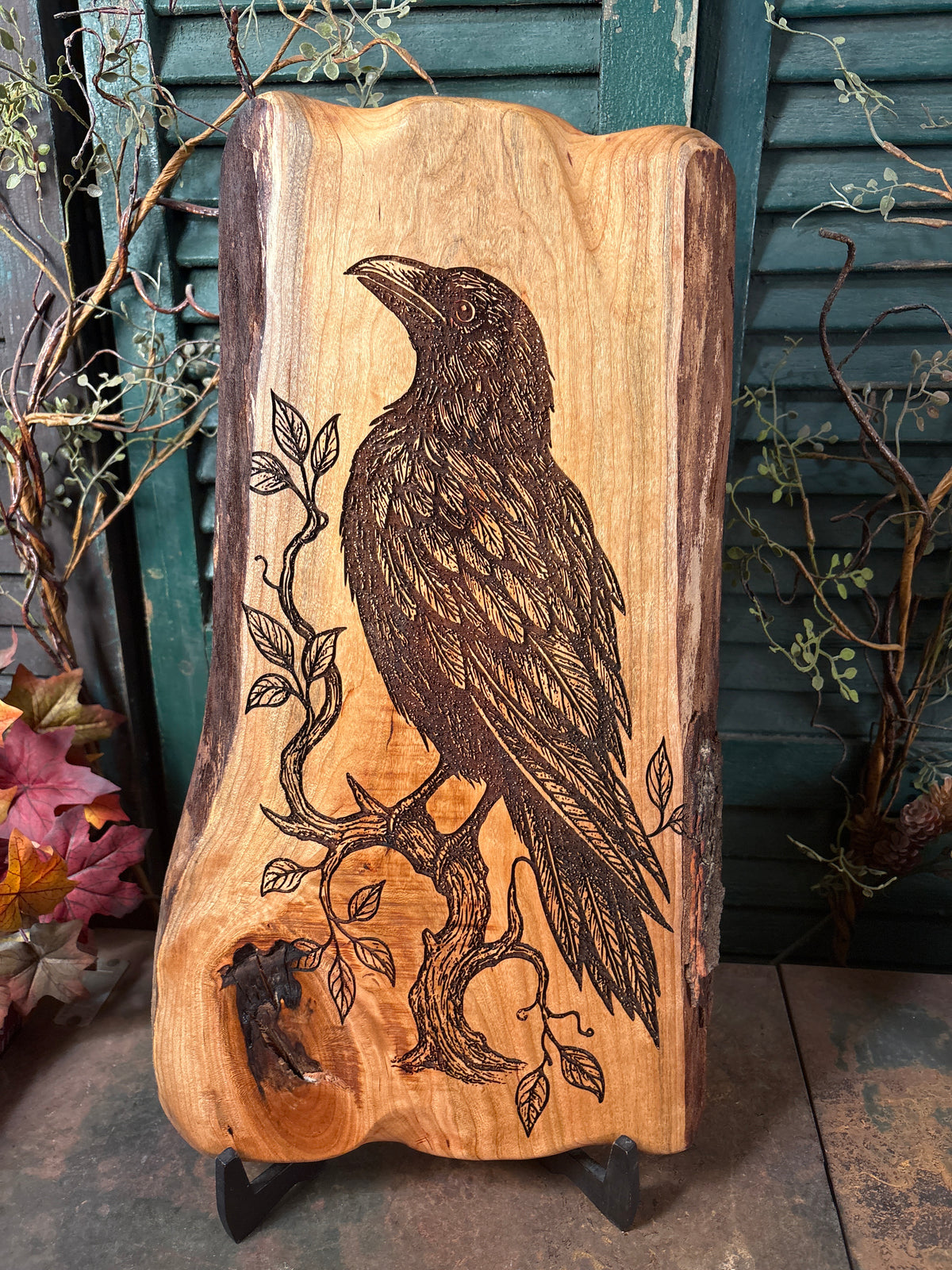Ancient Raven on Cherry