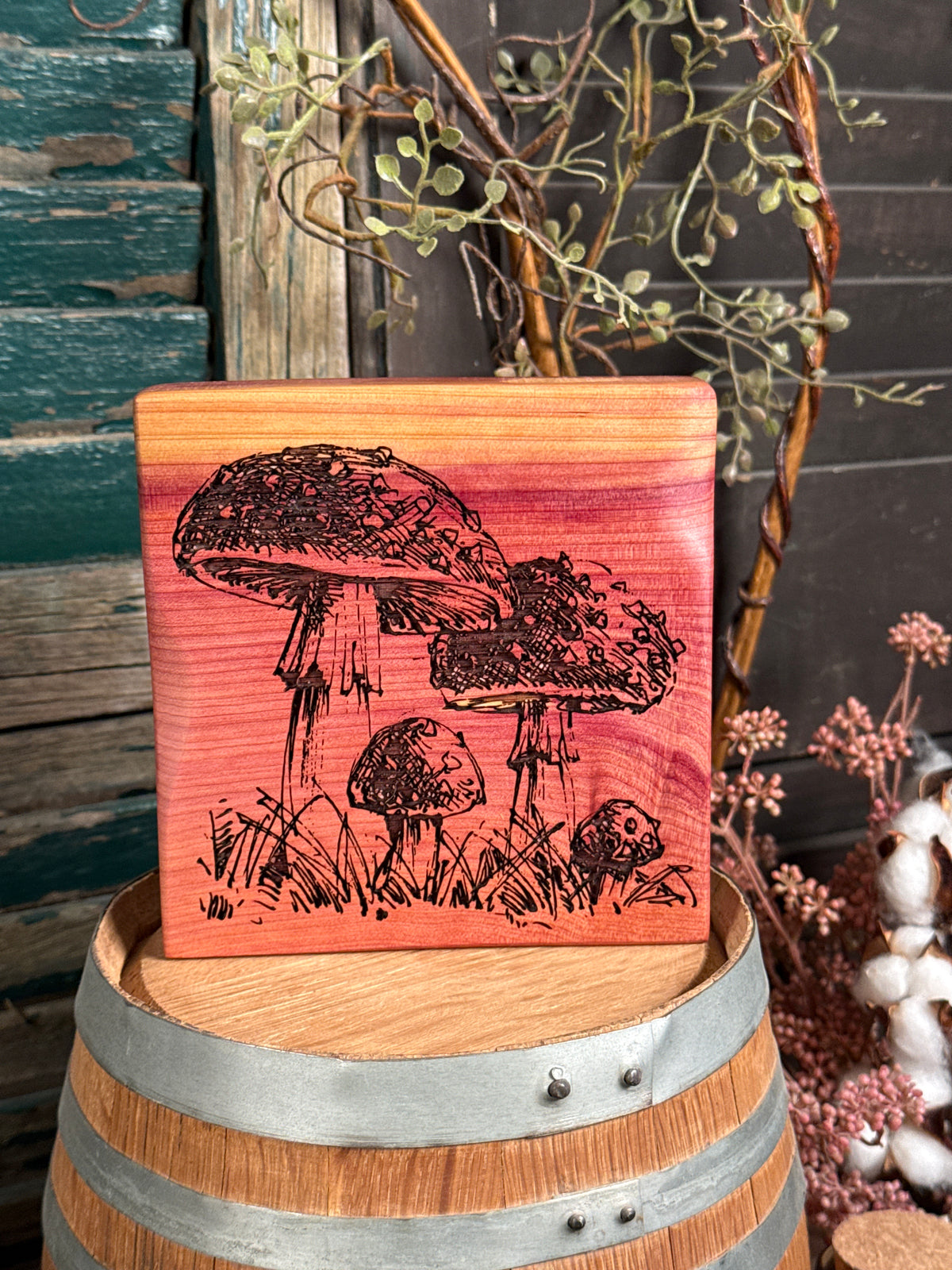 Mushroom on Cedar