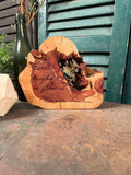 The Earth Laughs on Cedar