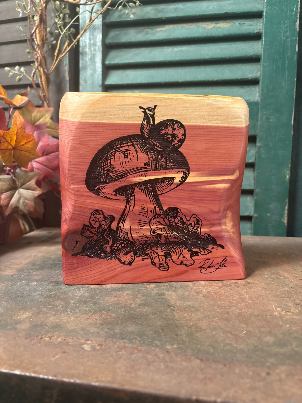 Mushroom on Cedar