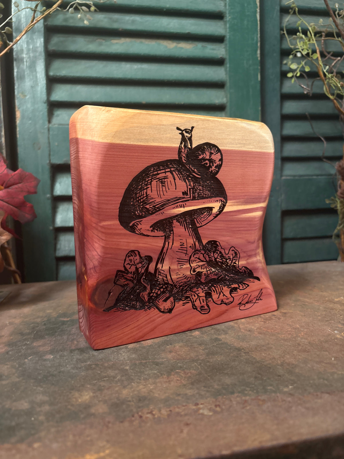 Mushroom on Cedar