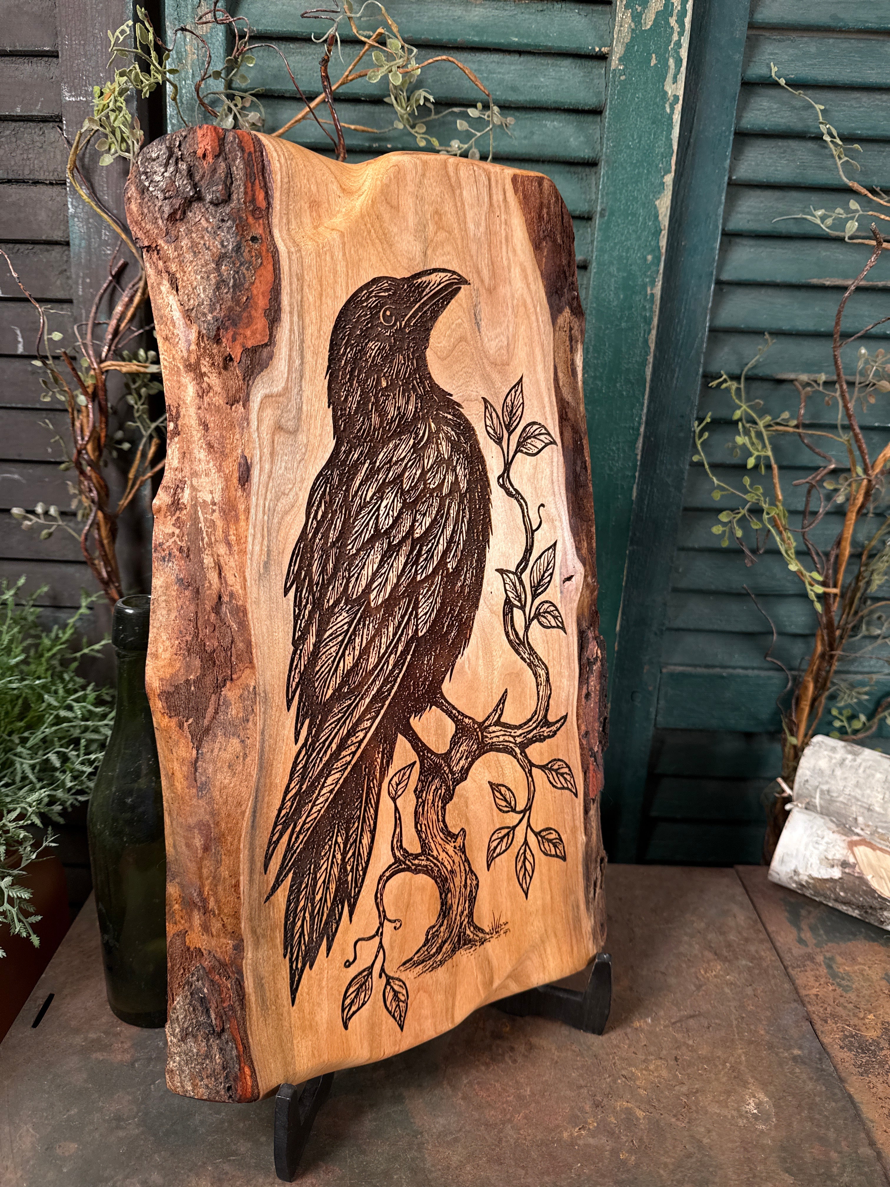 Ancient Raven on Cherry