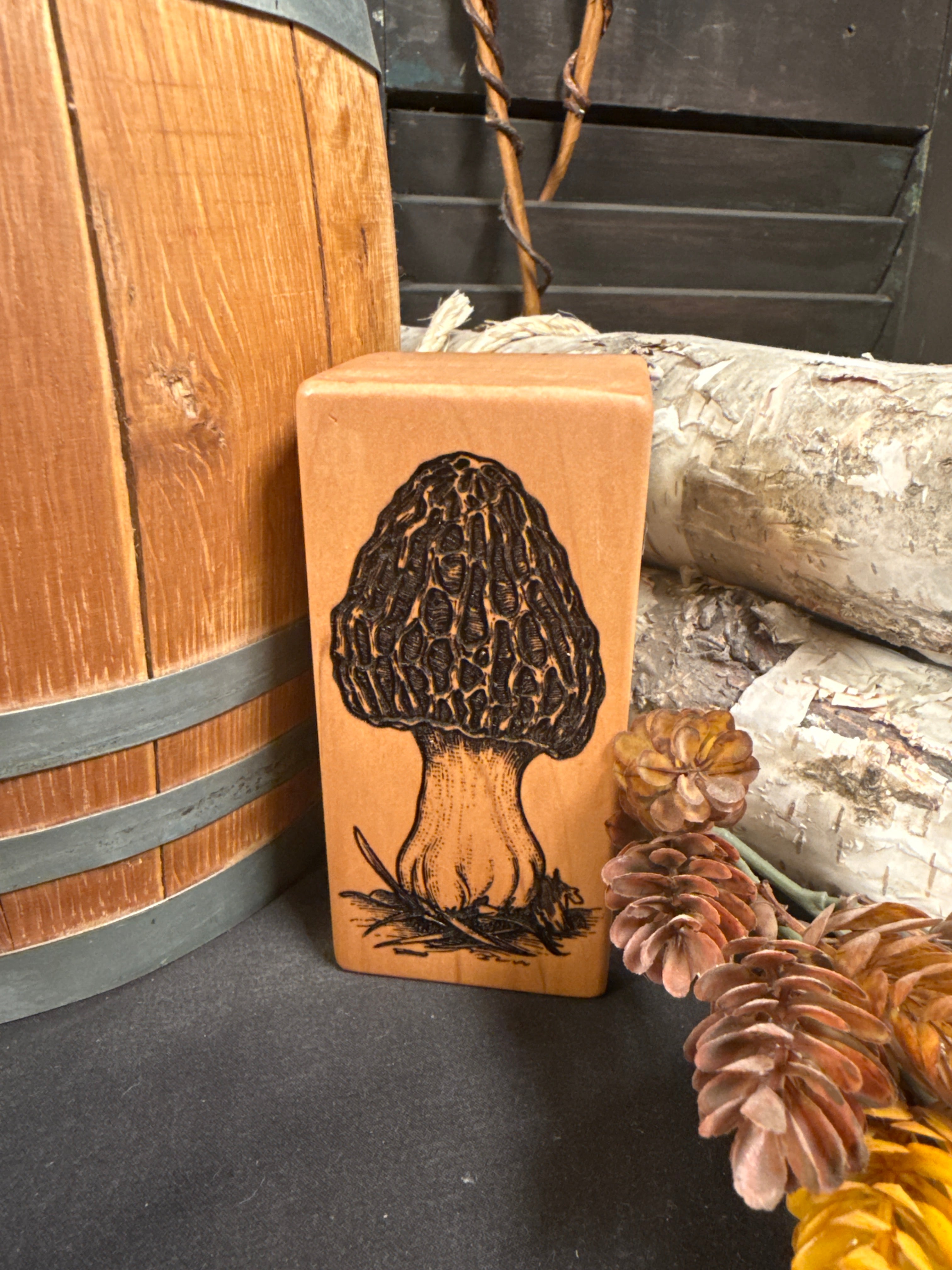 Small Morel on Sweetgum